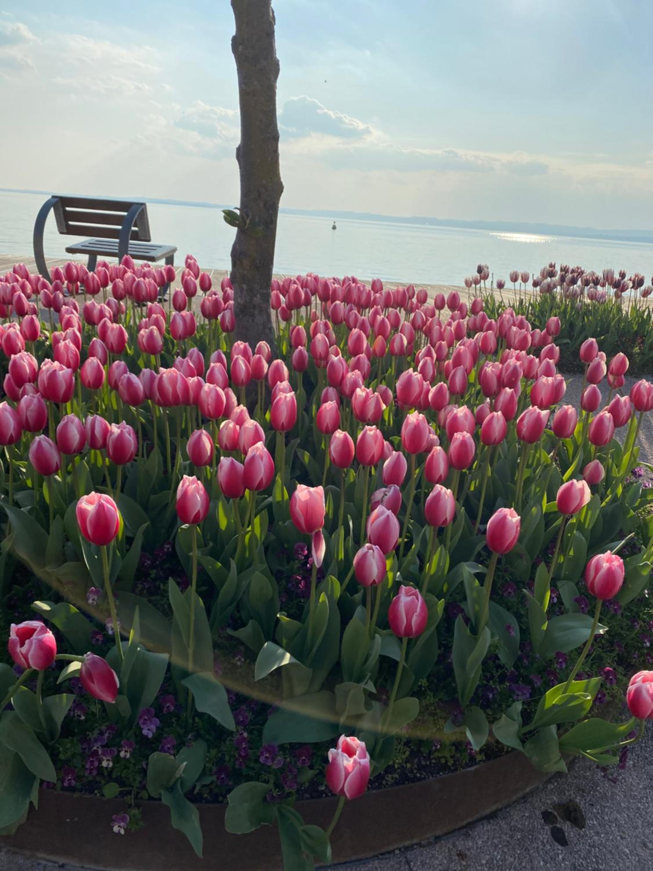 Vanti al Garda view 2