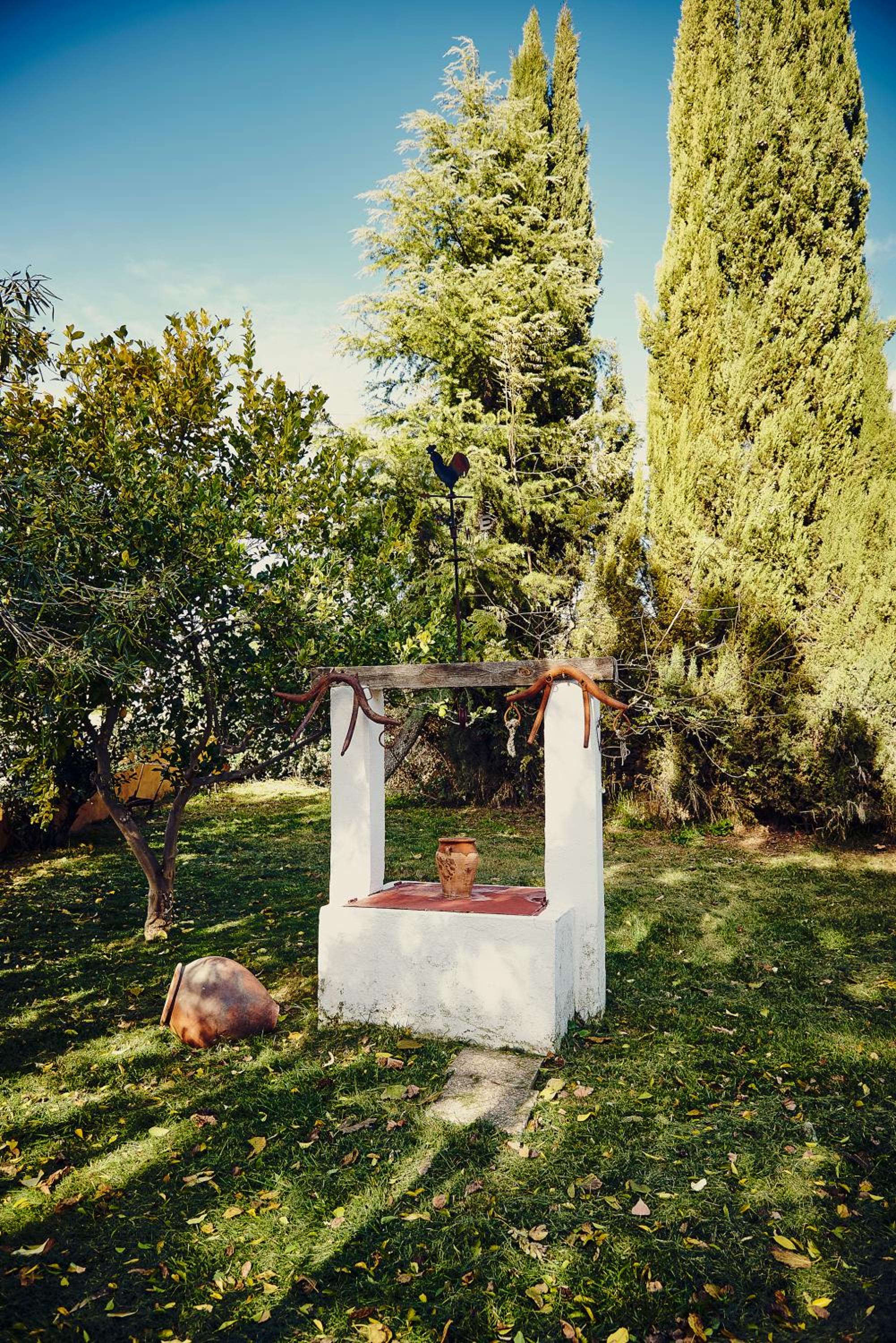 Photo 40