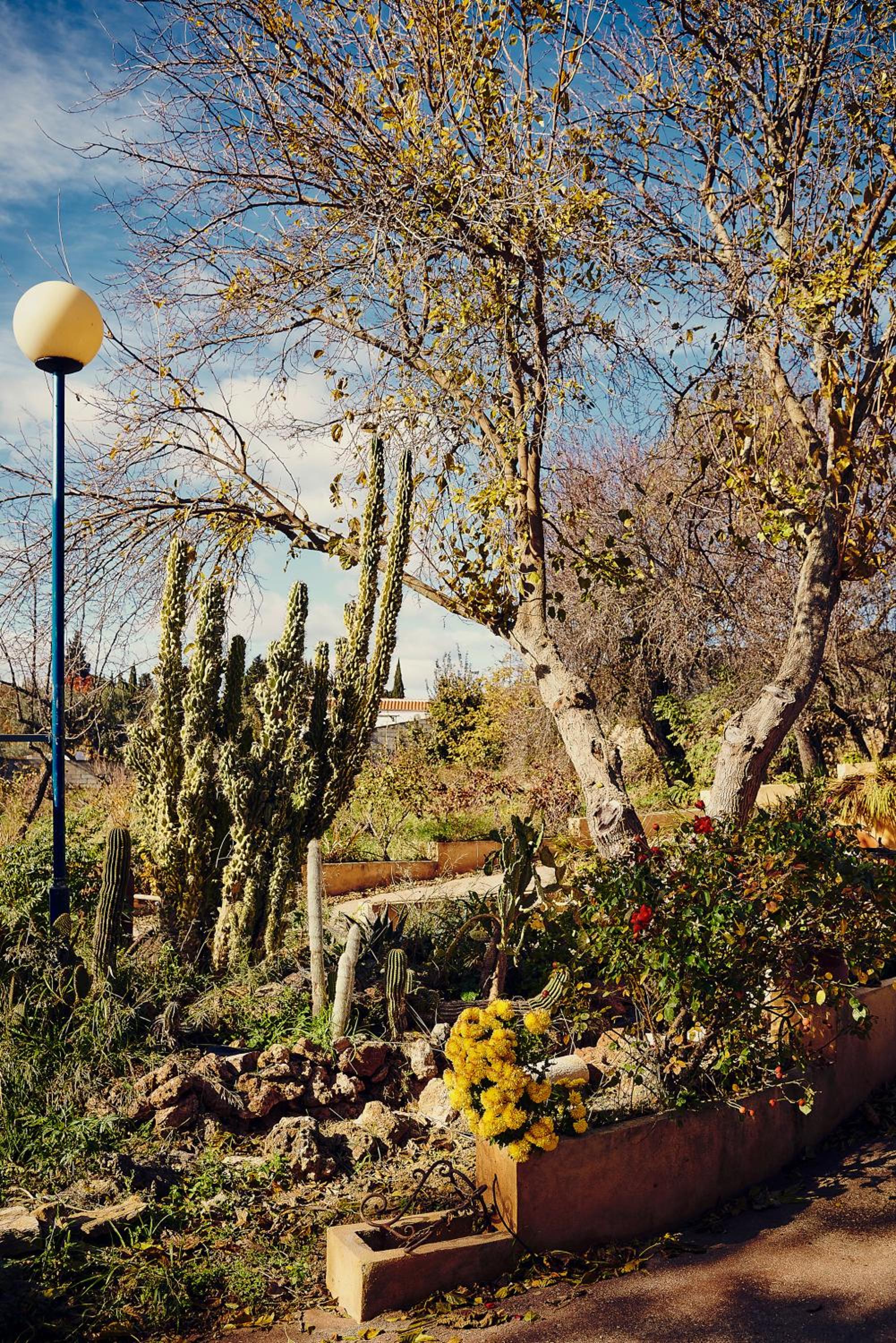 Photo 41