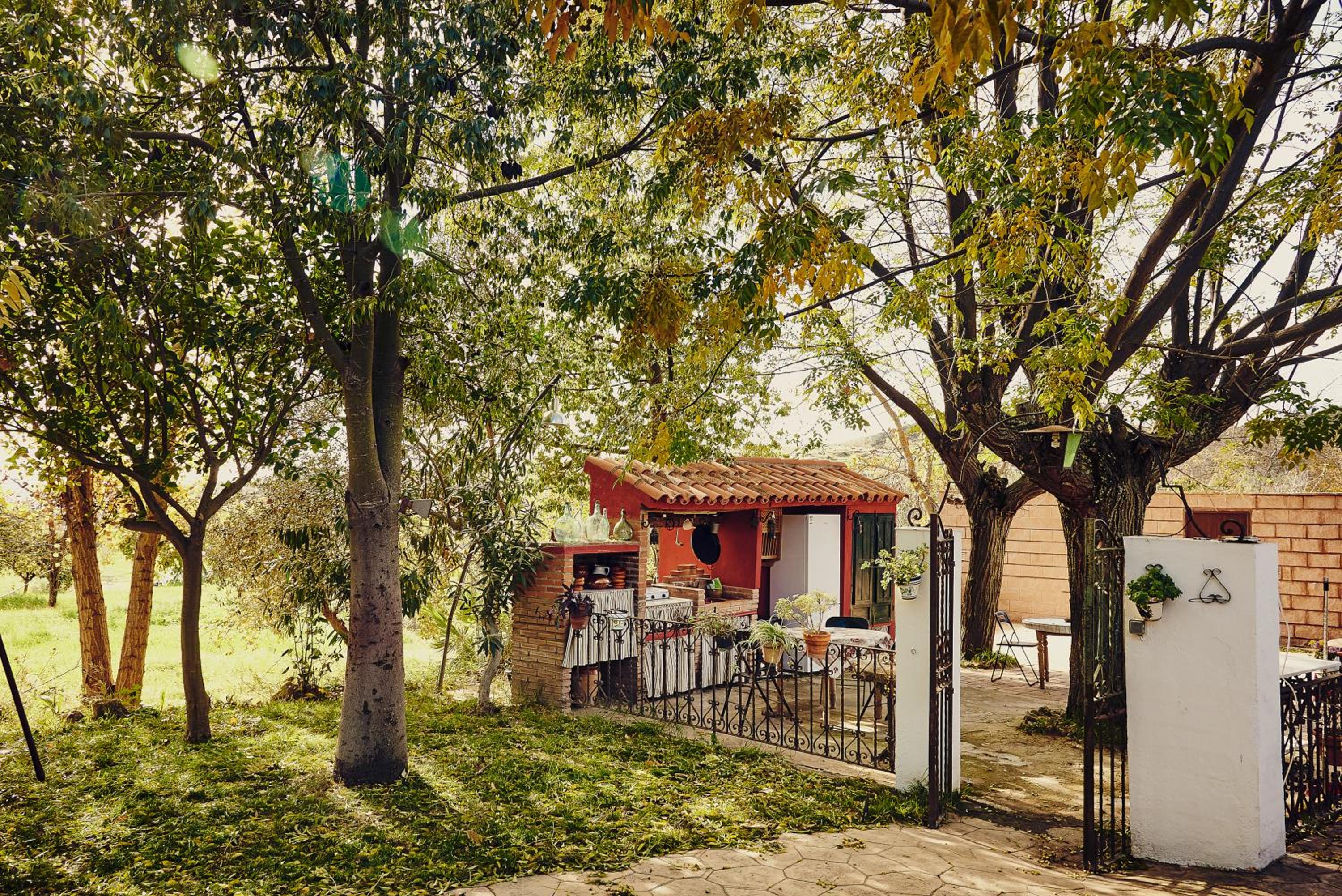 Photo 42