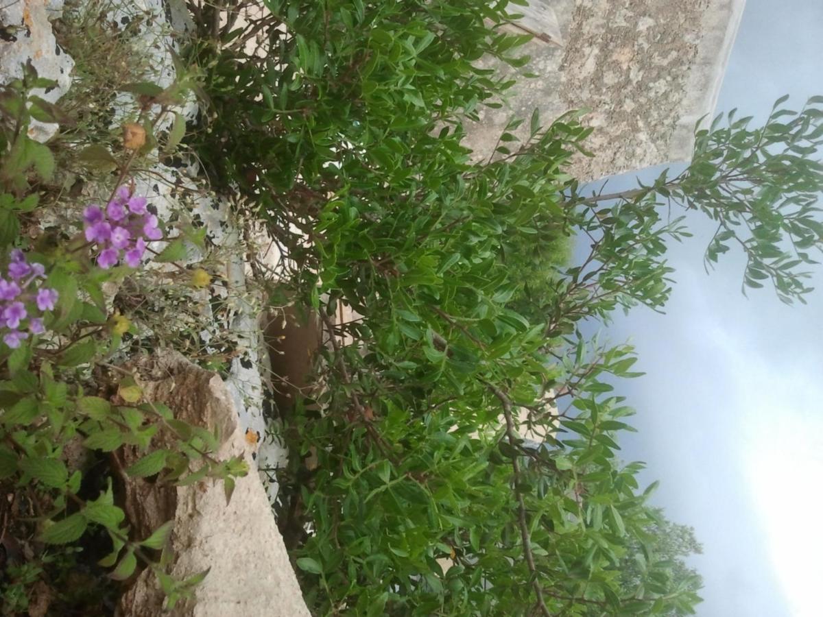 Photo 41
