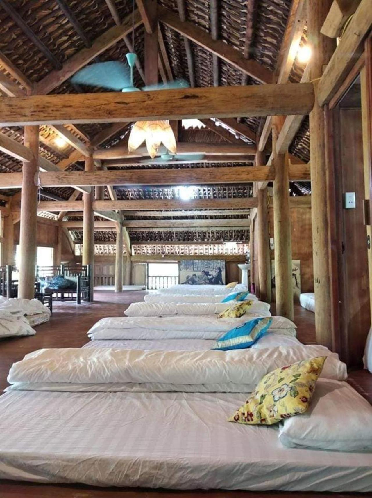 Hoa Mai Viên Sóc Sơn - Venue Travel