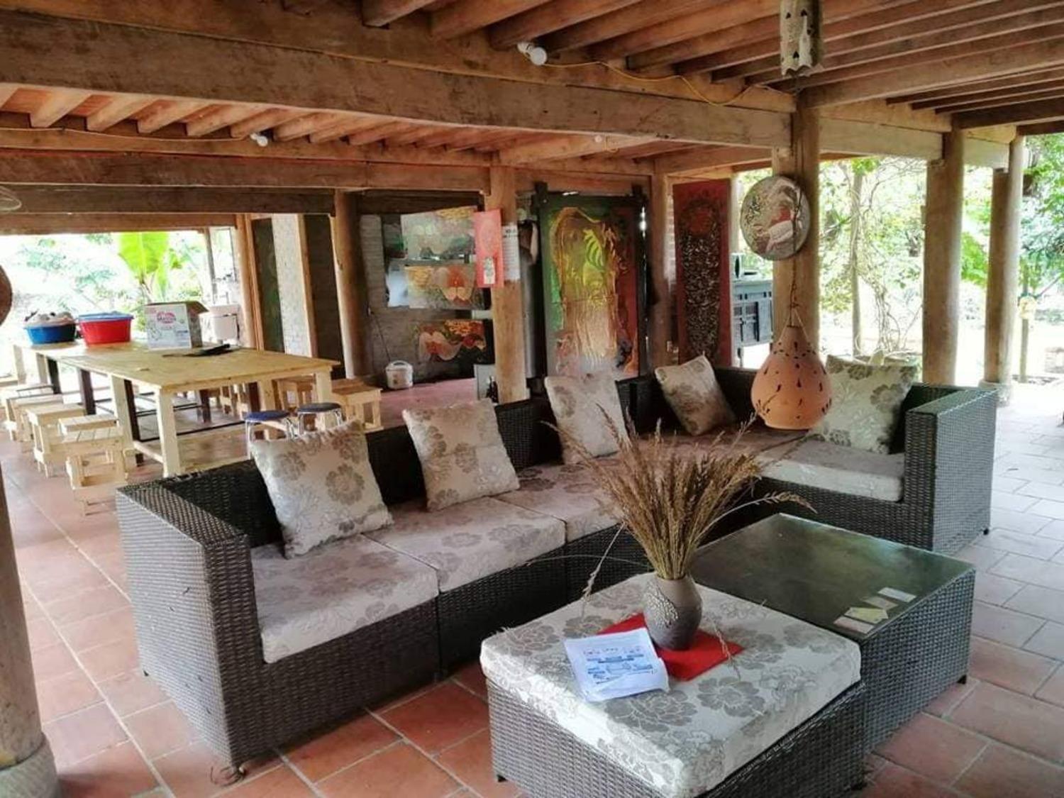Hoa Mai Viên Sóc Sơn - Venue Travel