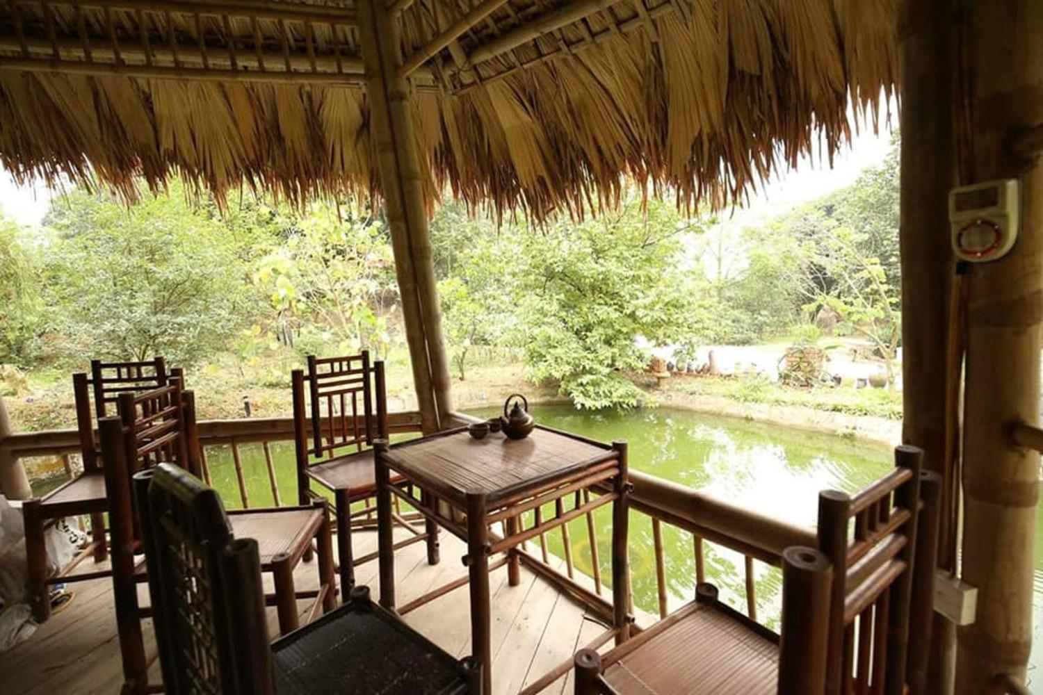 Hoa Mai Viên Sóc Sơn - Venue Travel