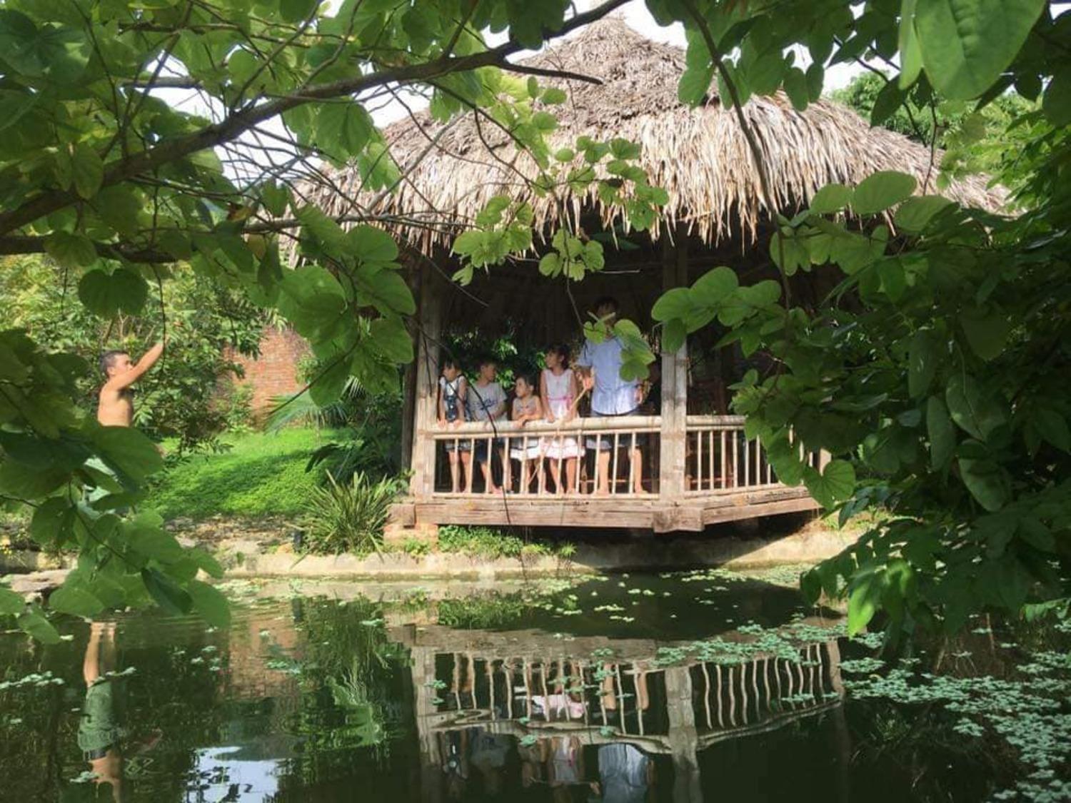 Hoa Mai Viên Sóc Sơn - Venue Travel