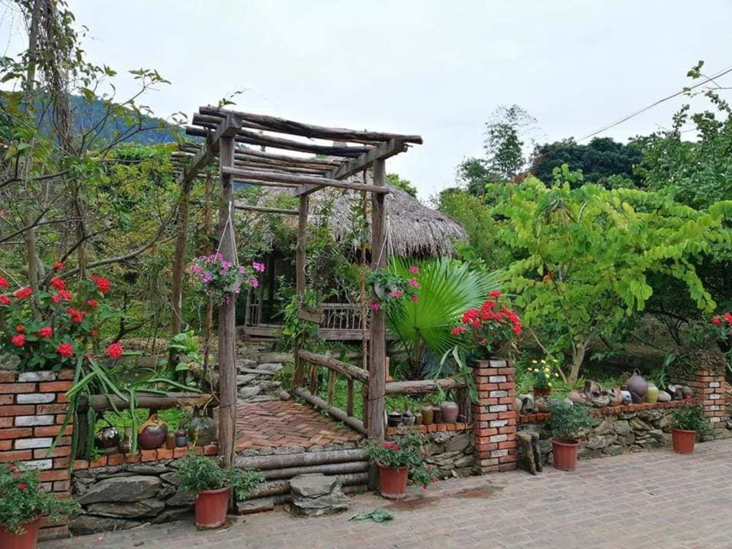 Hoa Mai Viên Sóc Sơn - Venue Travel