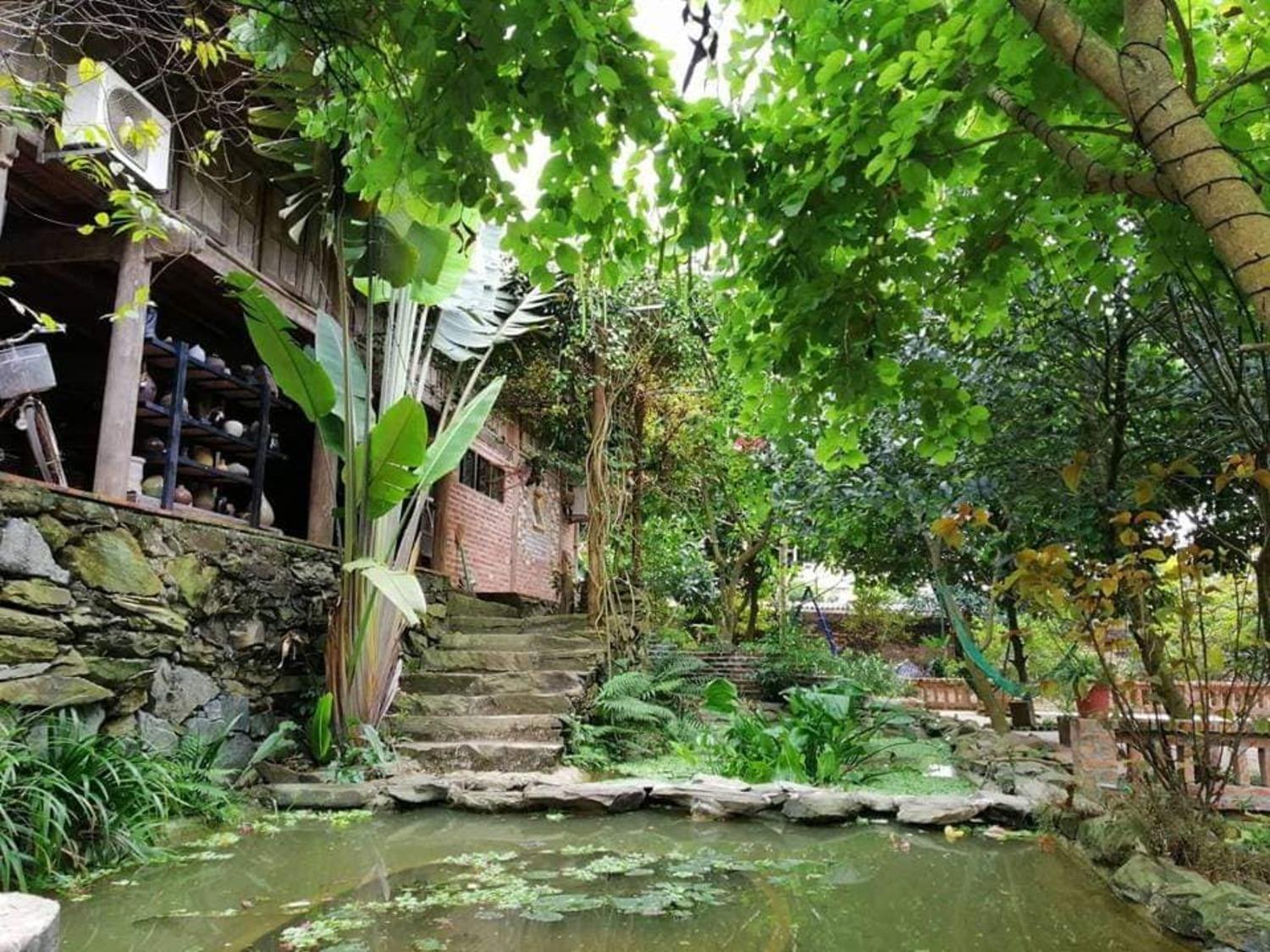 Hoa Mai Viên Sóc Sơn - Venue Travel