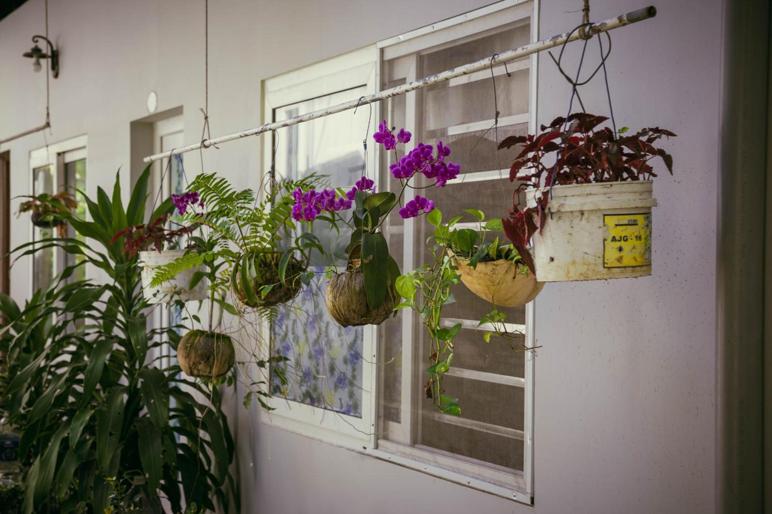 Manh Duyen Garden Homestay view 2