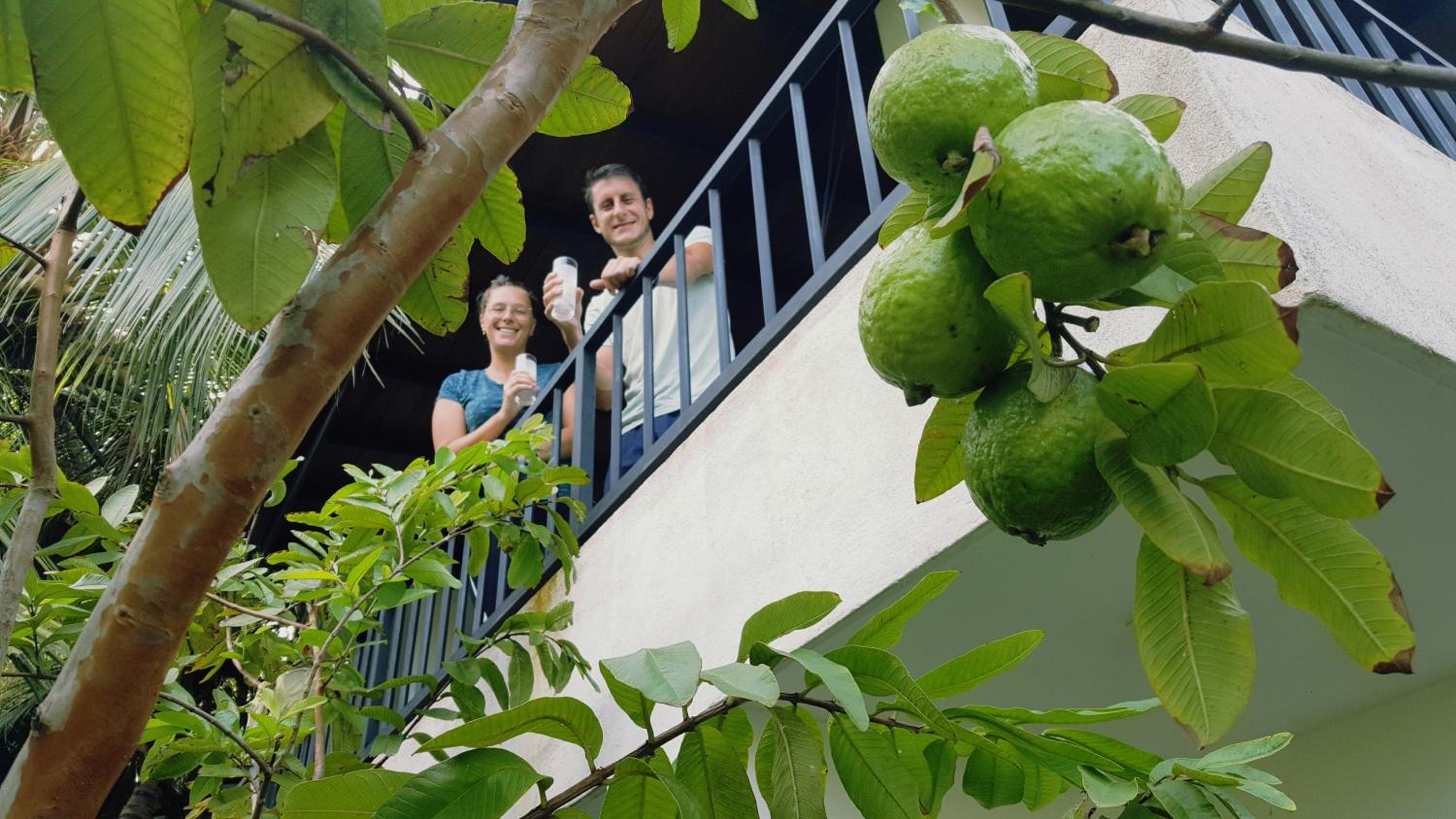 COCO house