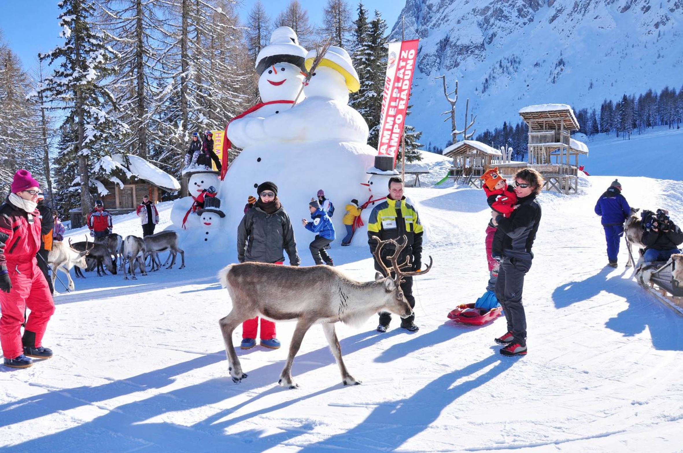 Apartments Dolomit-Royal