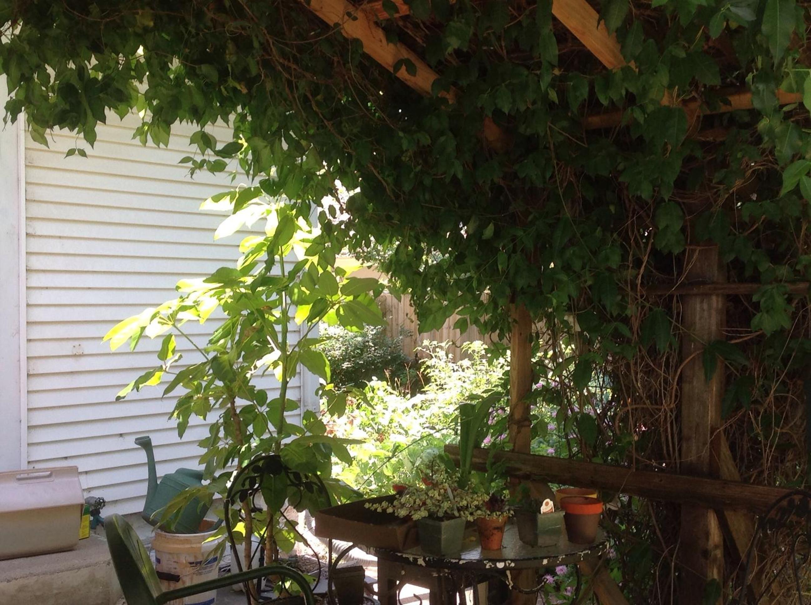 Photo 33