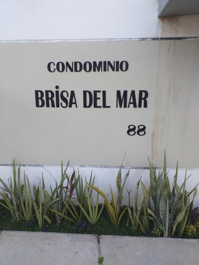 Apartamentos Brisa del Mar