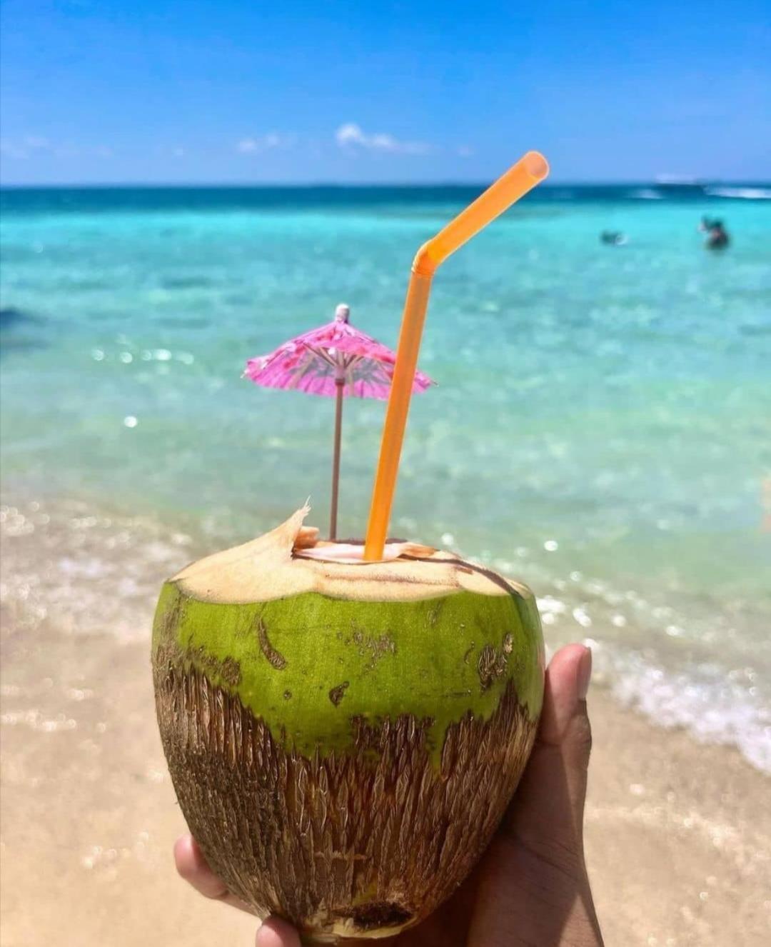 Playa Tortuga Carey