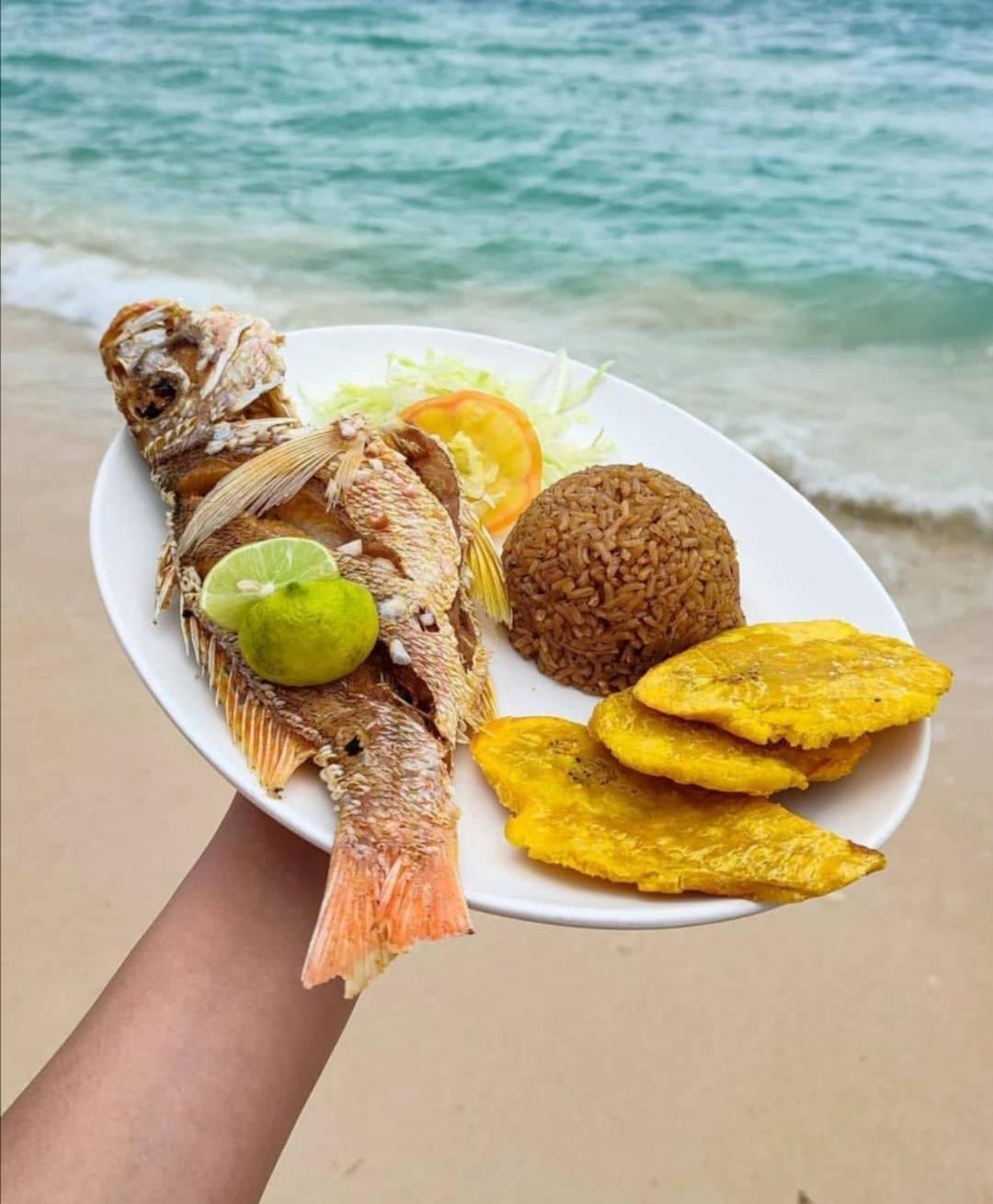 Playa Tortuga Carey