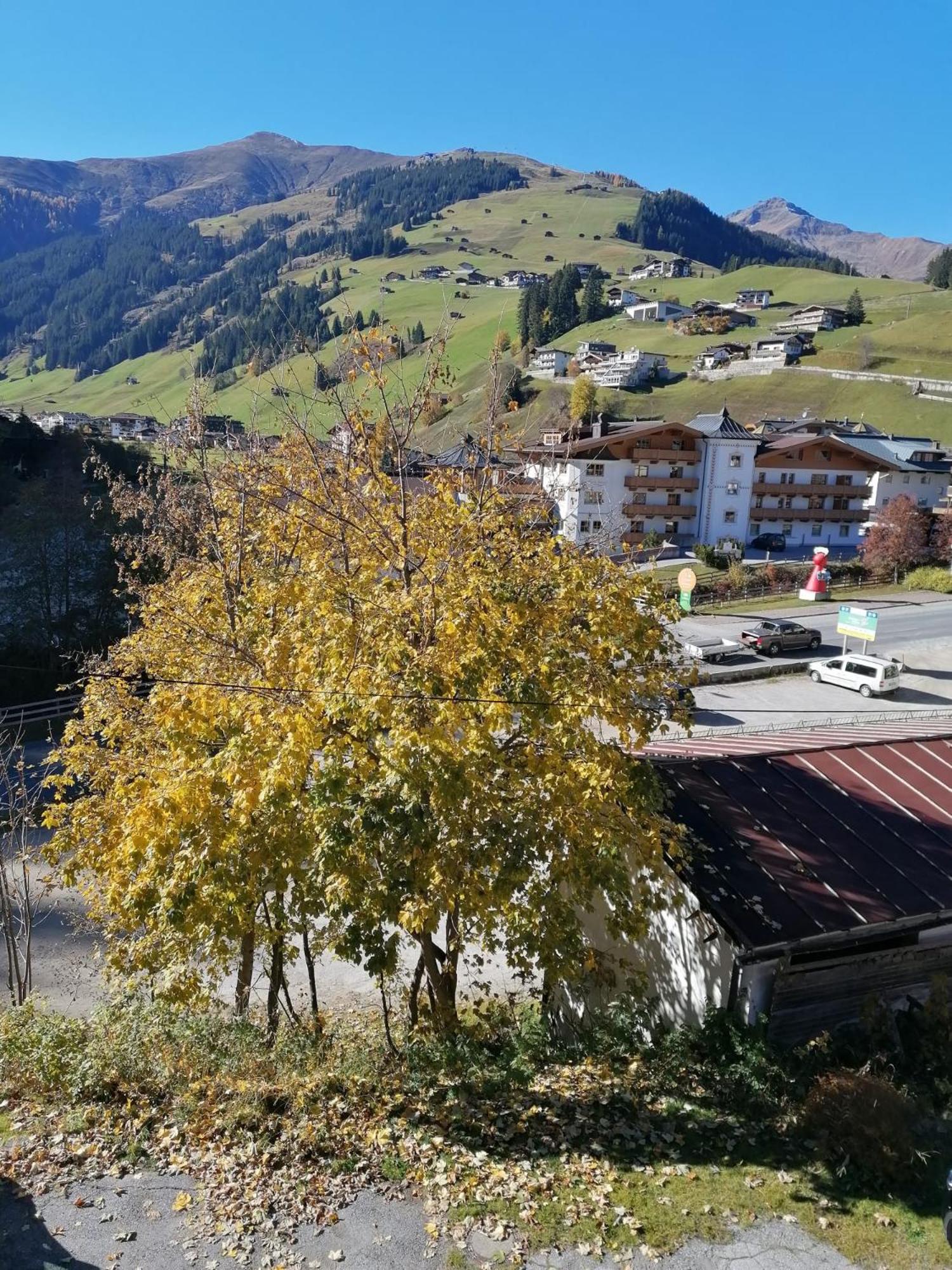 Photo 21