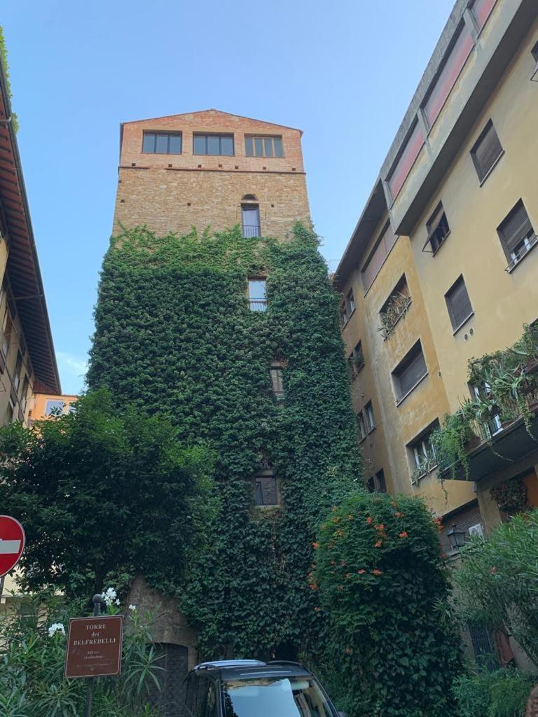 The secret window on the river Arno