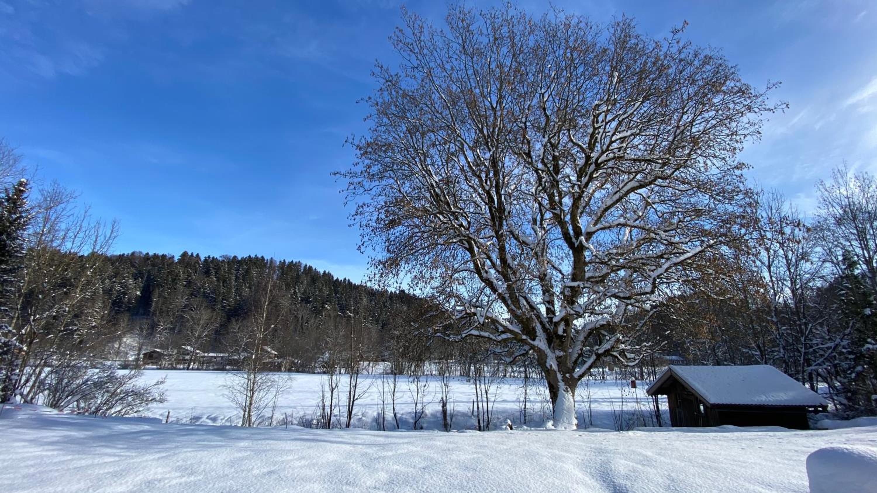 Pure Nature Munich - Alps