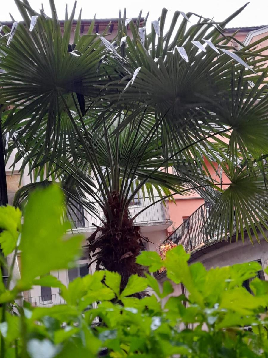 Piazza Grande House view 4