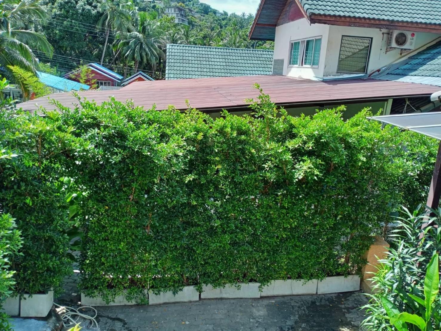 Reggae Garden Villas