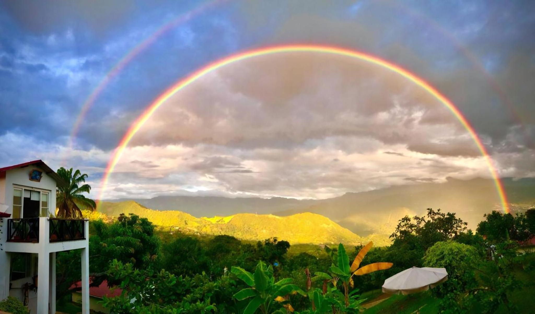 Hotel Cabañas Los Tulipanes