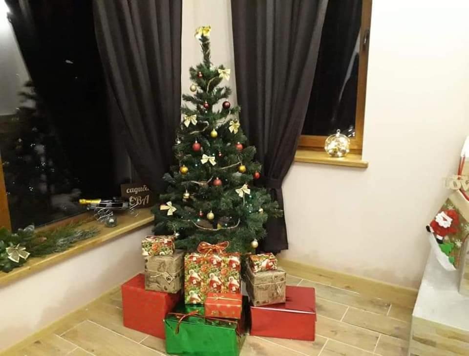 Photo 8