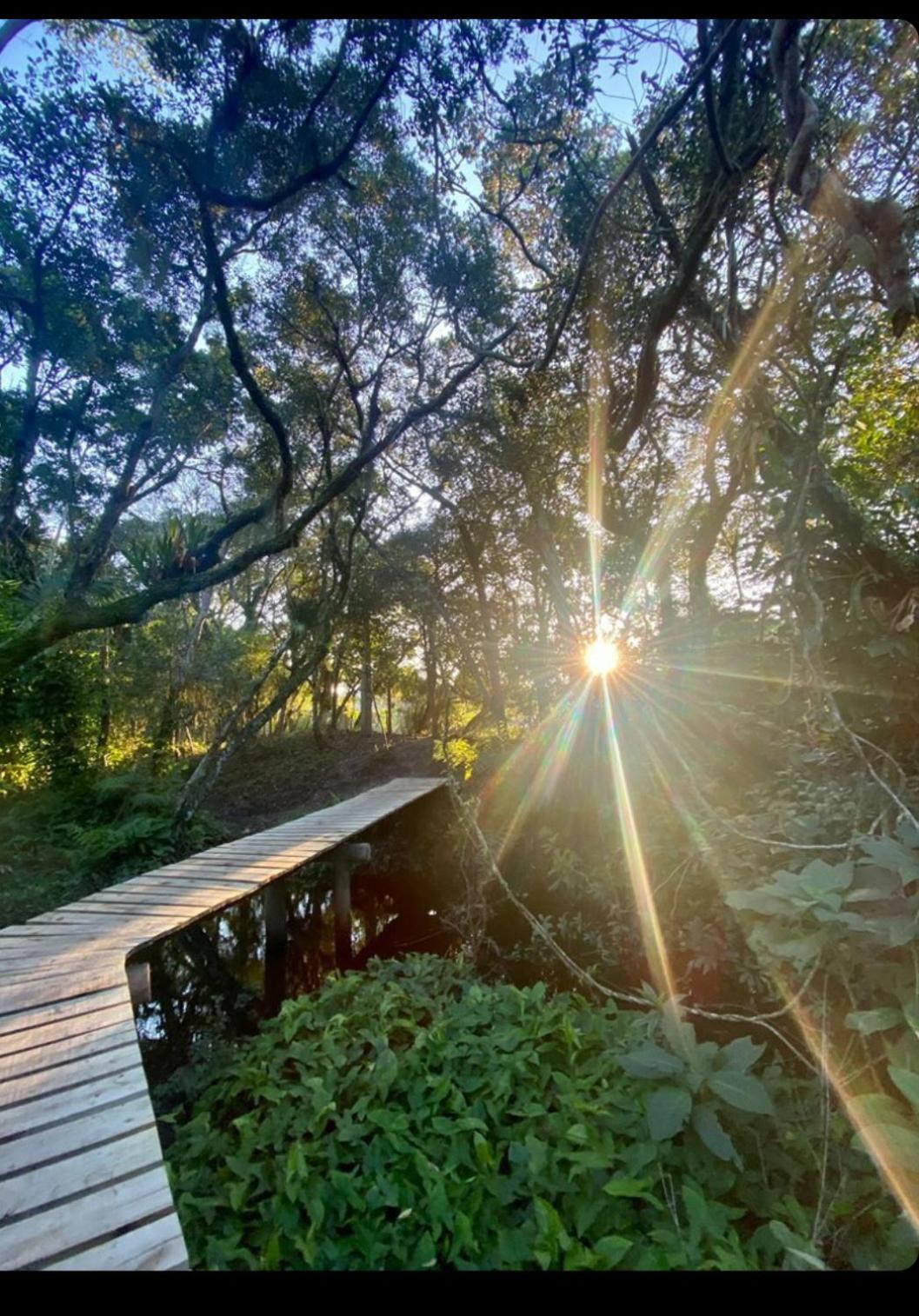 Casa da Floresta