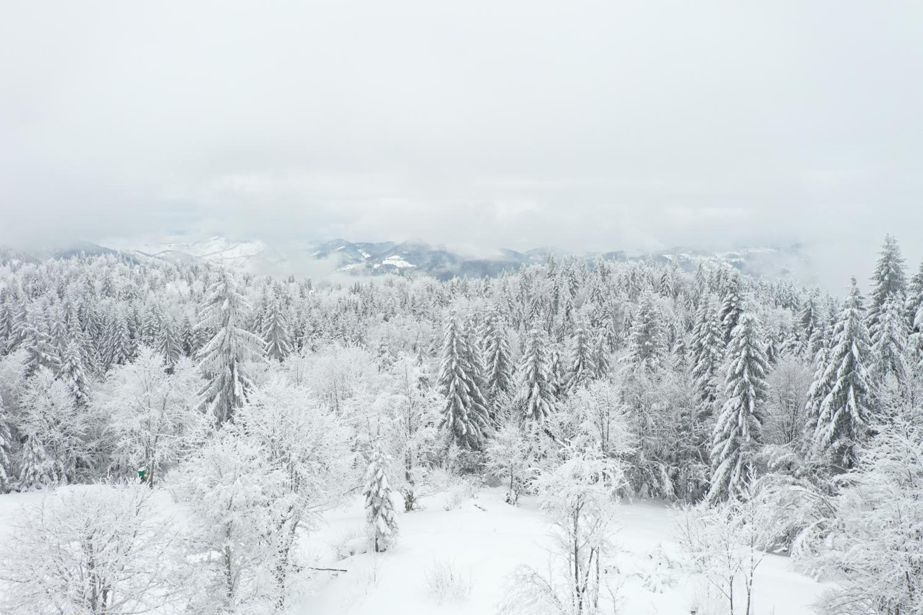 Photo 36