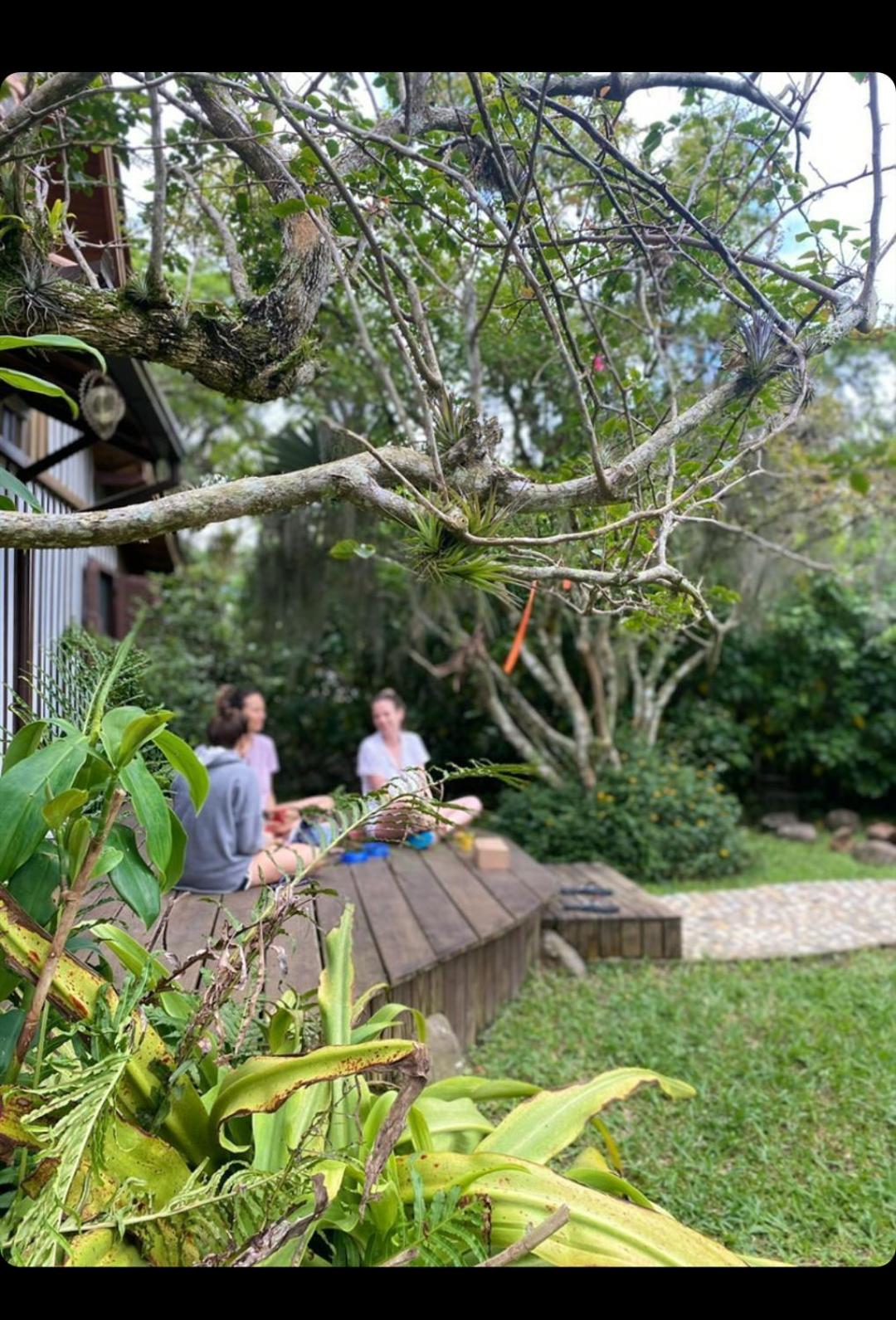 Casa da Floresta