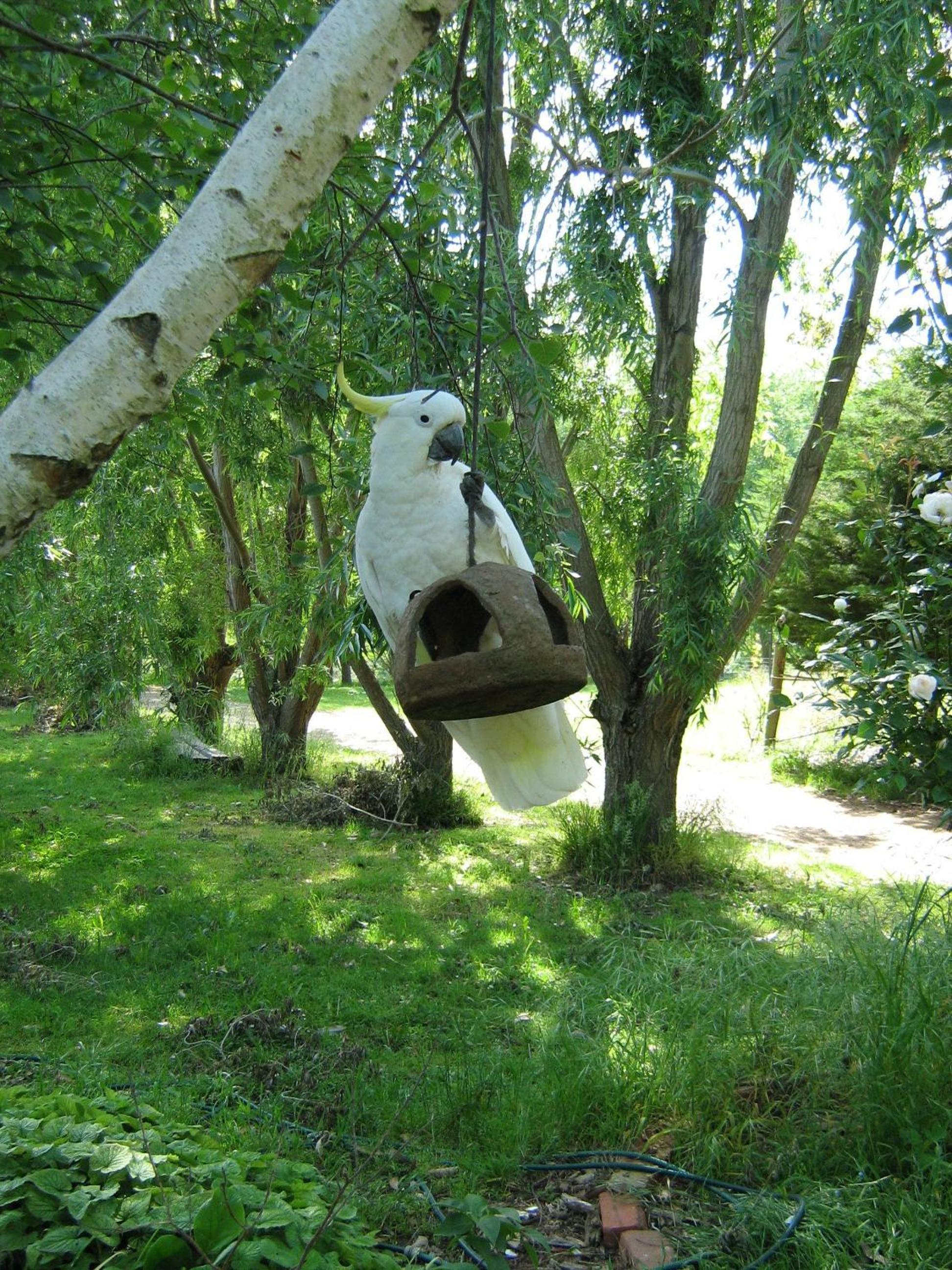 Photo 42