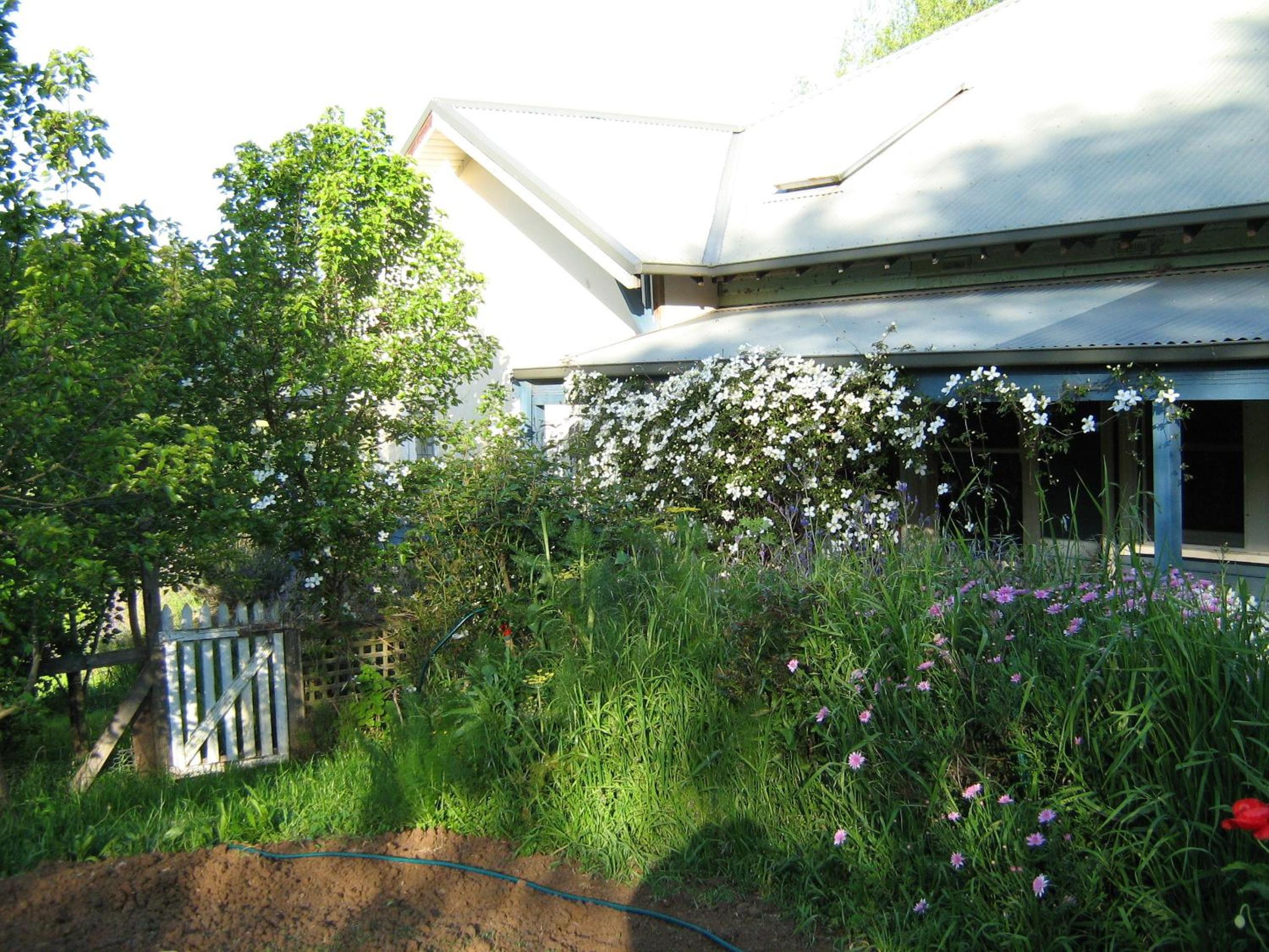 Photo 38