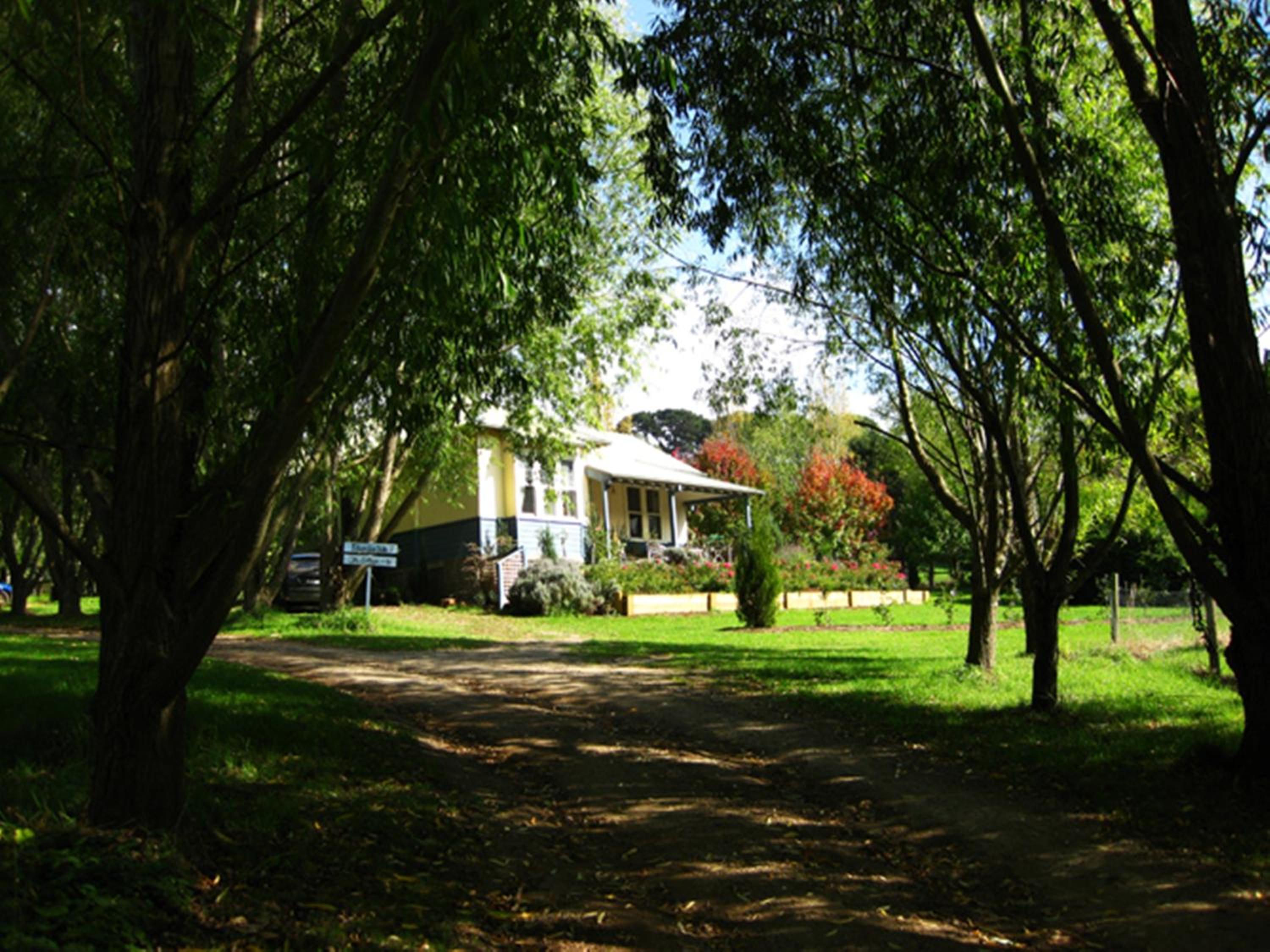 Photo 36