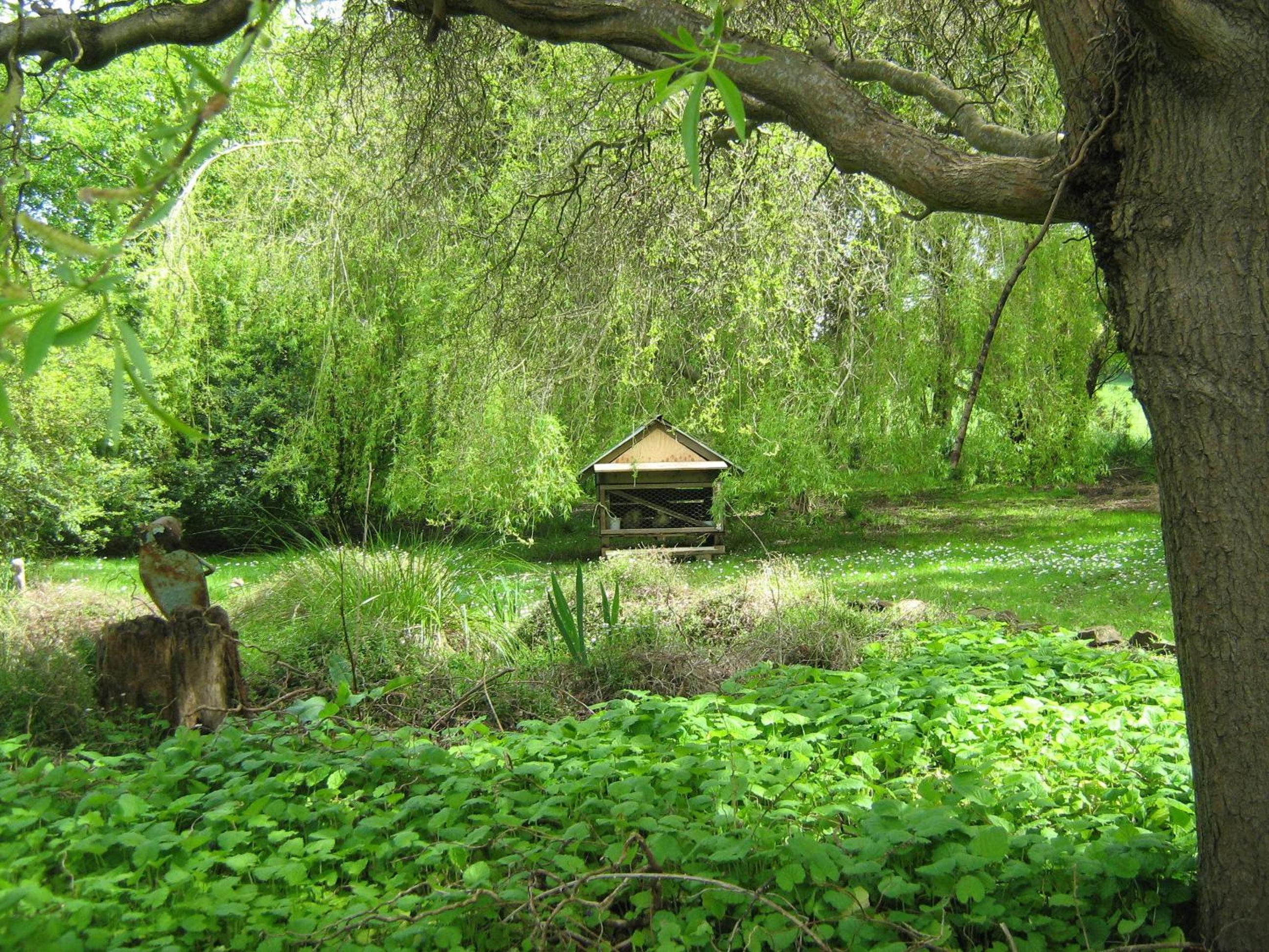 Photo 41