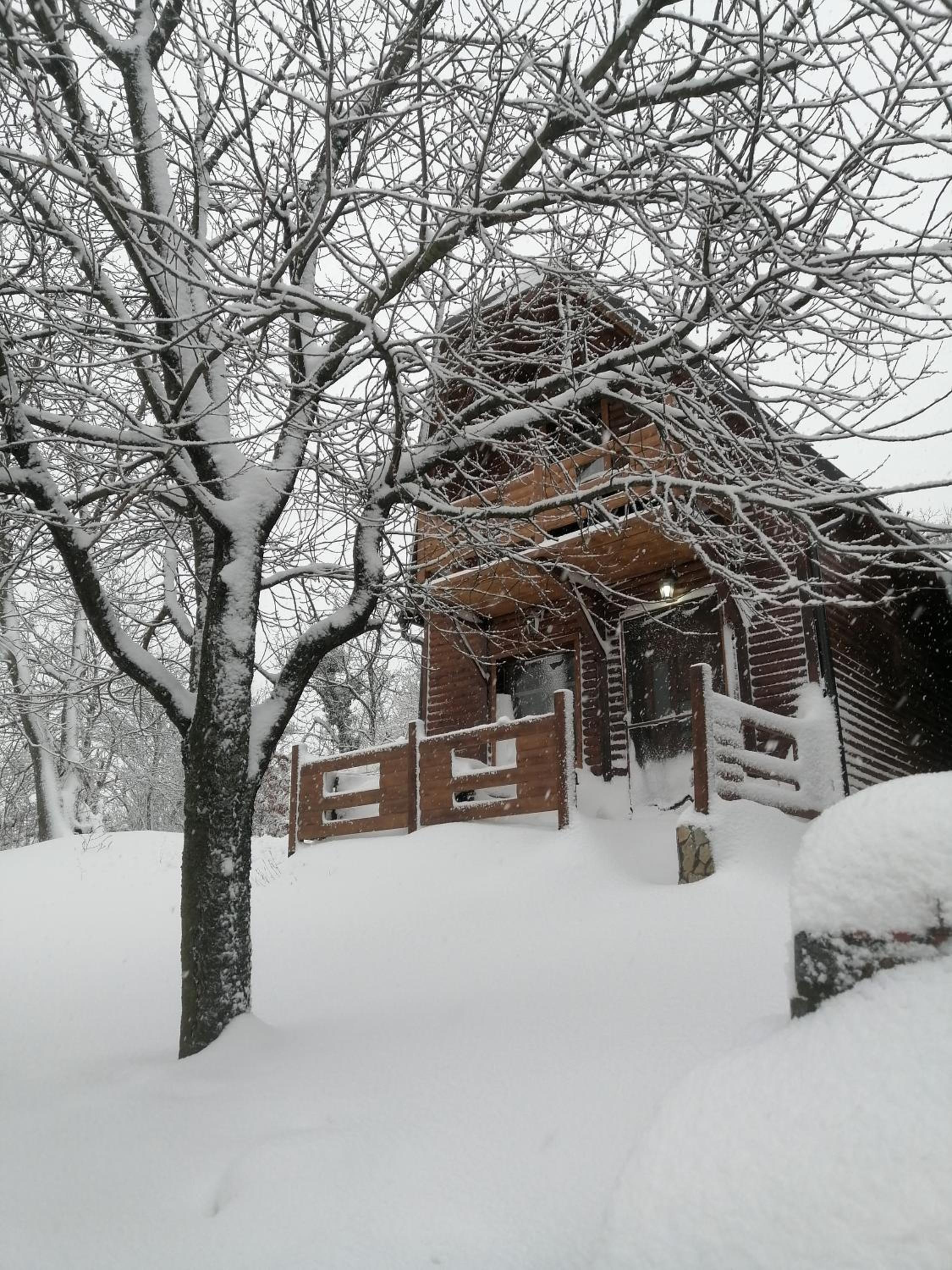 Brvnara Fruska Koliba