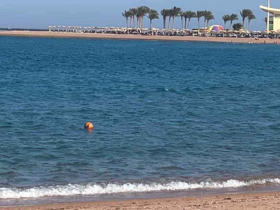 easy rent in porto sharm view 4
