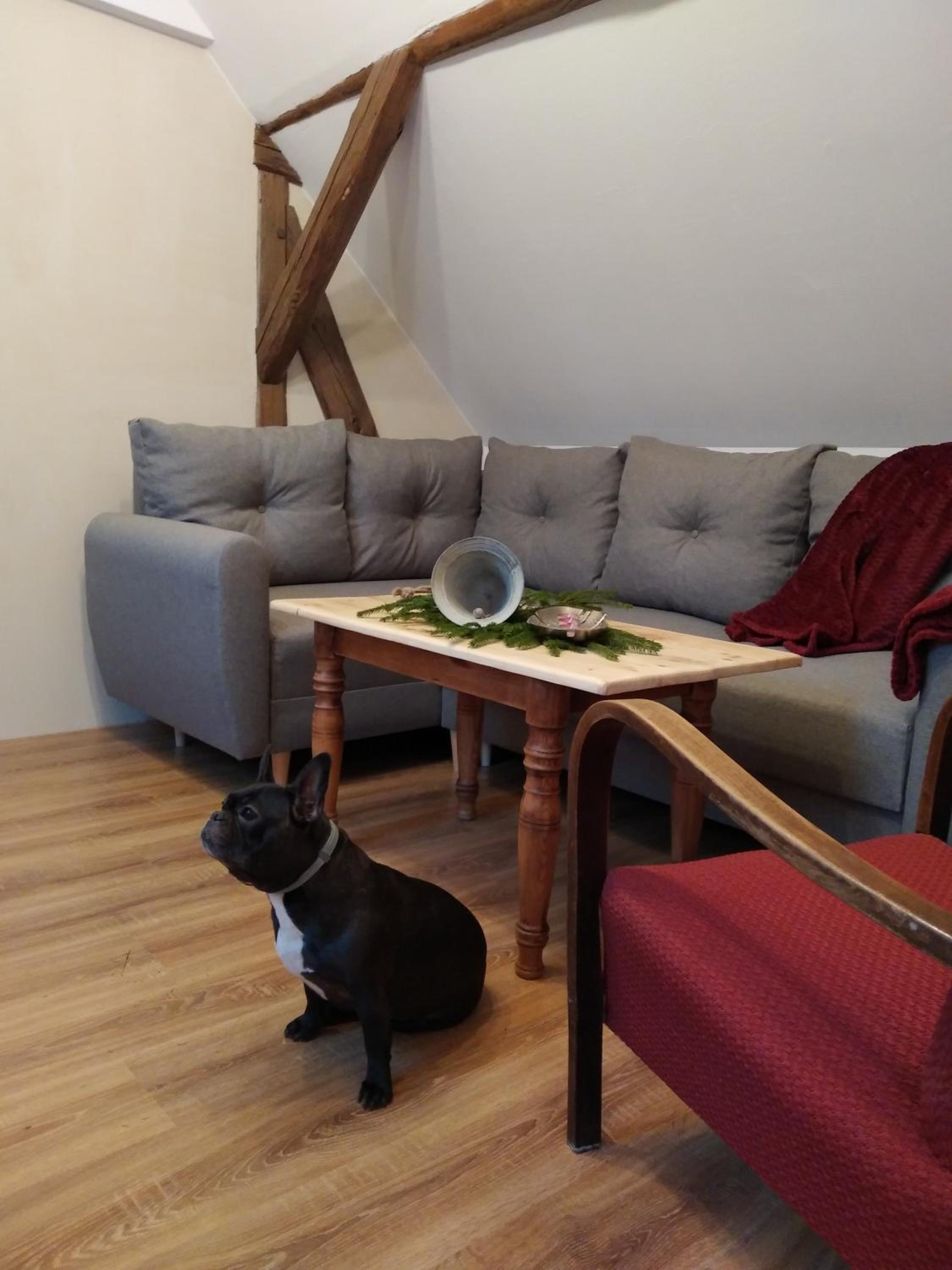 Photo 22