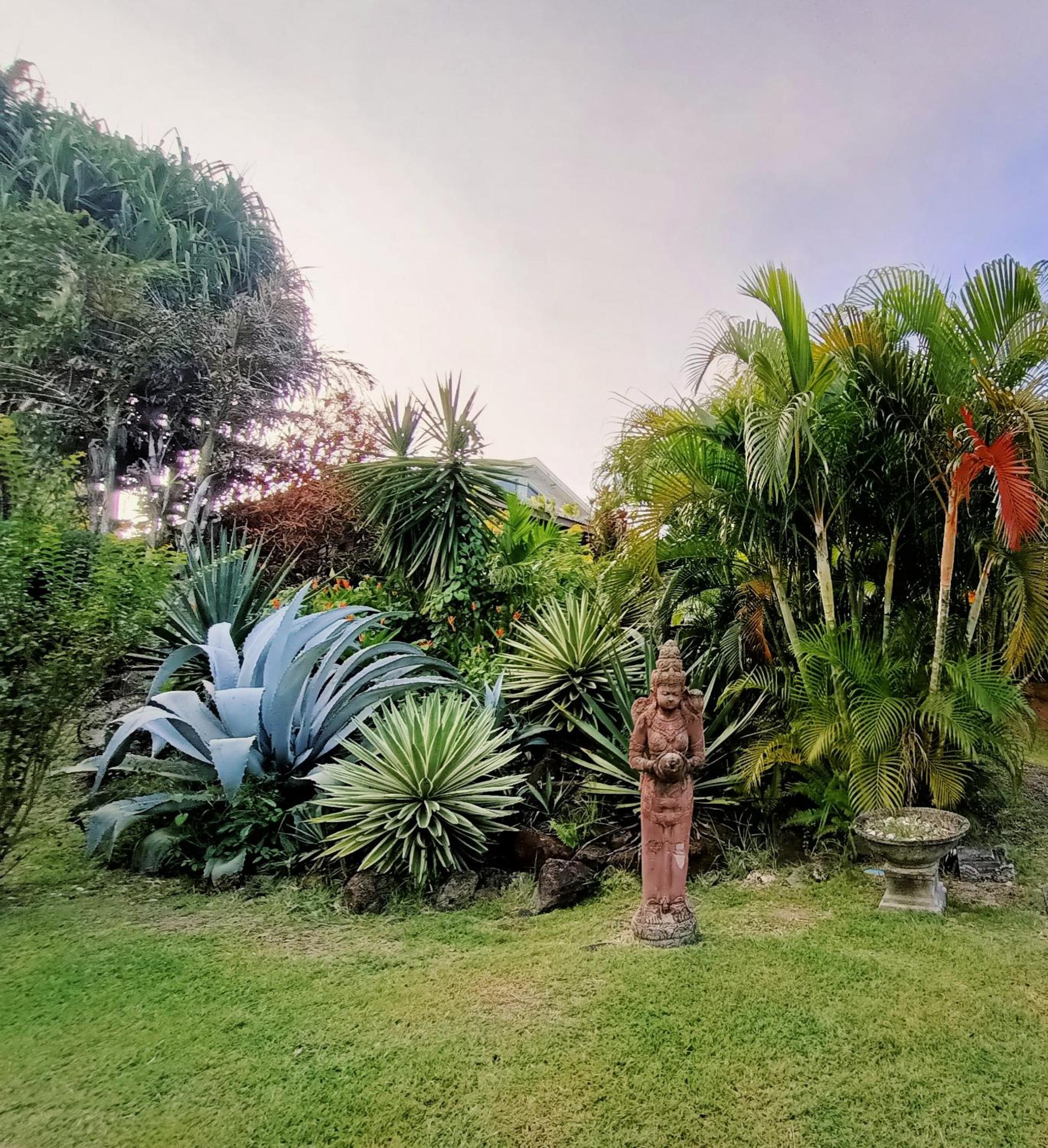 Domaine de la Palmeraie - Villas Lodge