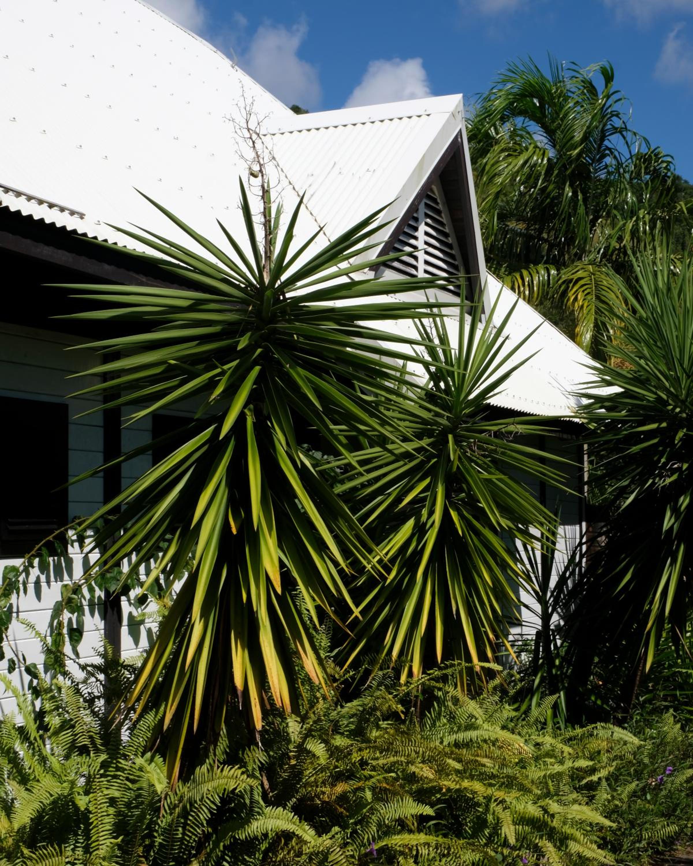 Domaine de la Palmeraie - Villas Lodge
