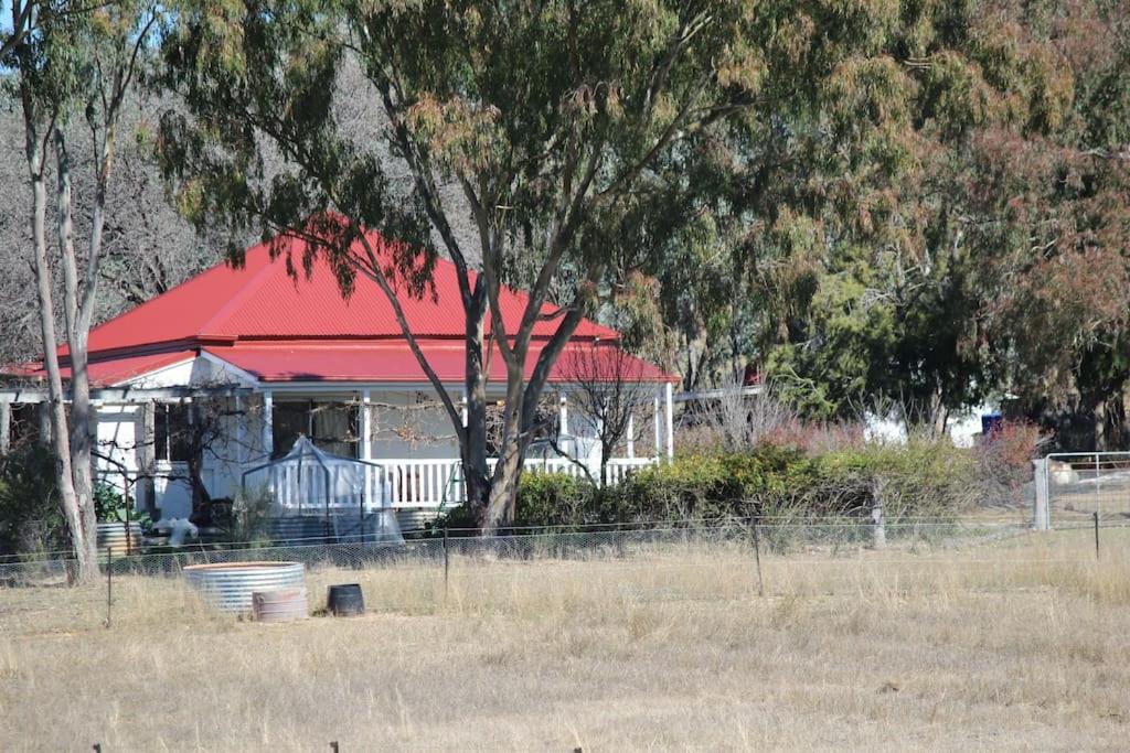 Glenlyon Dam Holiday Cottage & Farmstay
