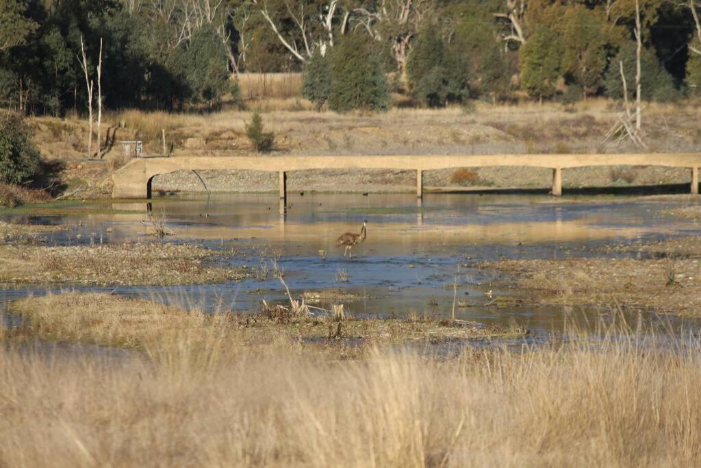 Glenlyon Dam Holiday Cottage & Farmstay