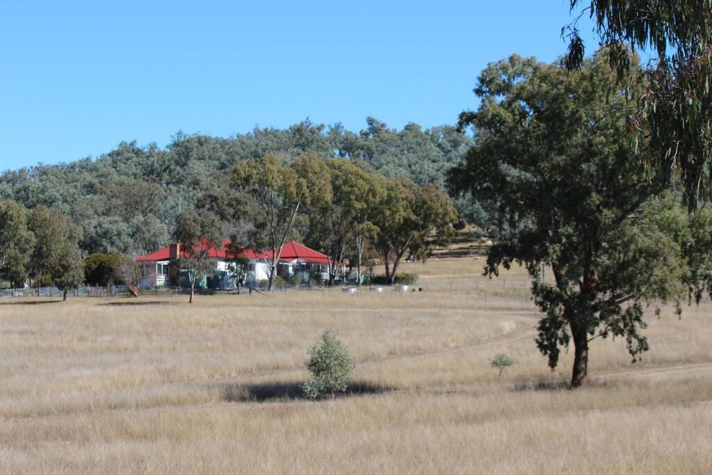 Glenlyon Dam Holiday Cottage & Farmstay