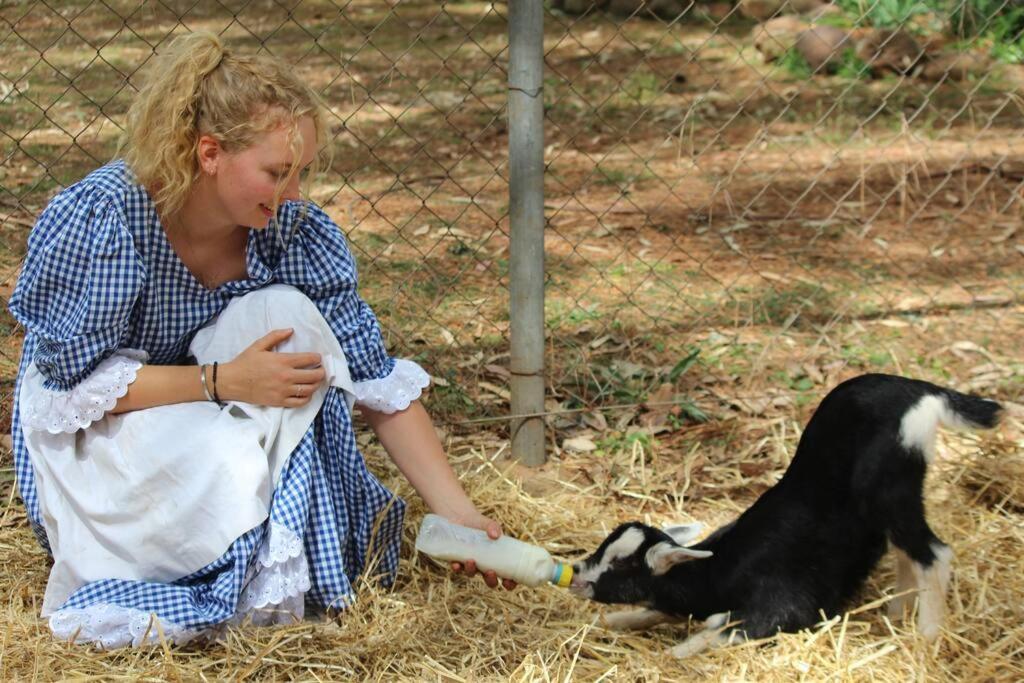 Glenlyon Dam Holiday Cottage & Farmstay
