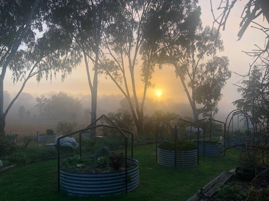 Glenlyon Dam Holiday Cottage & Farmstay