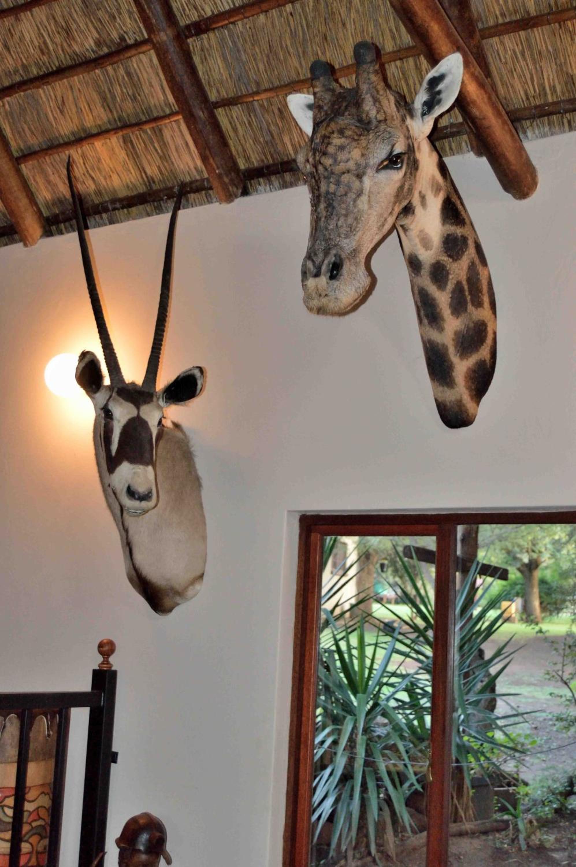 Kareekloof Game Farm