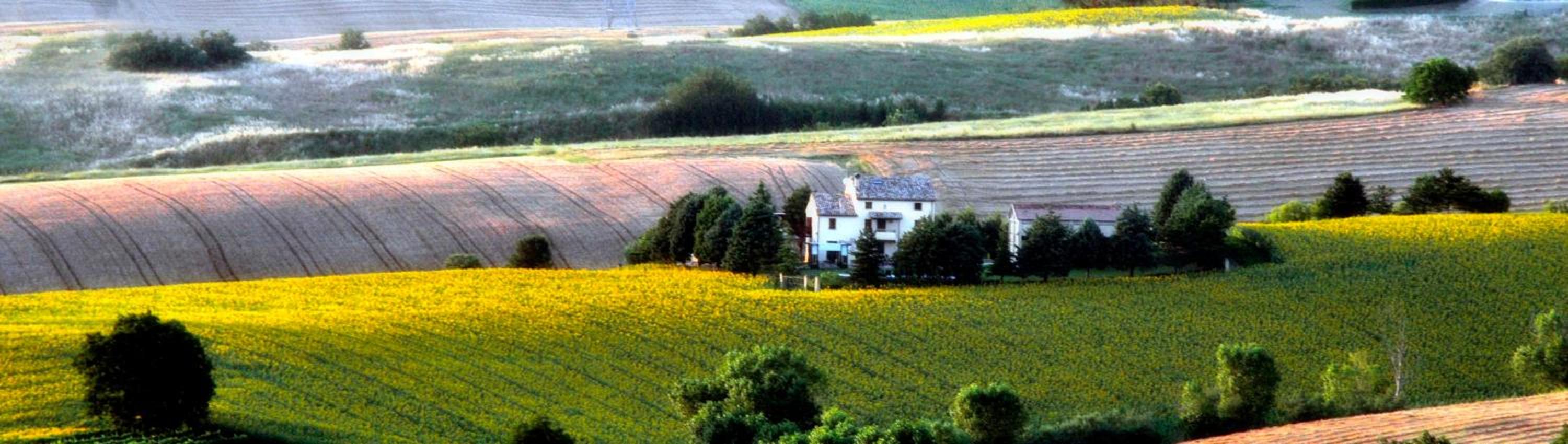 Country House Binnella