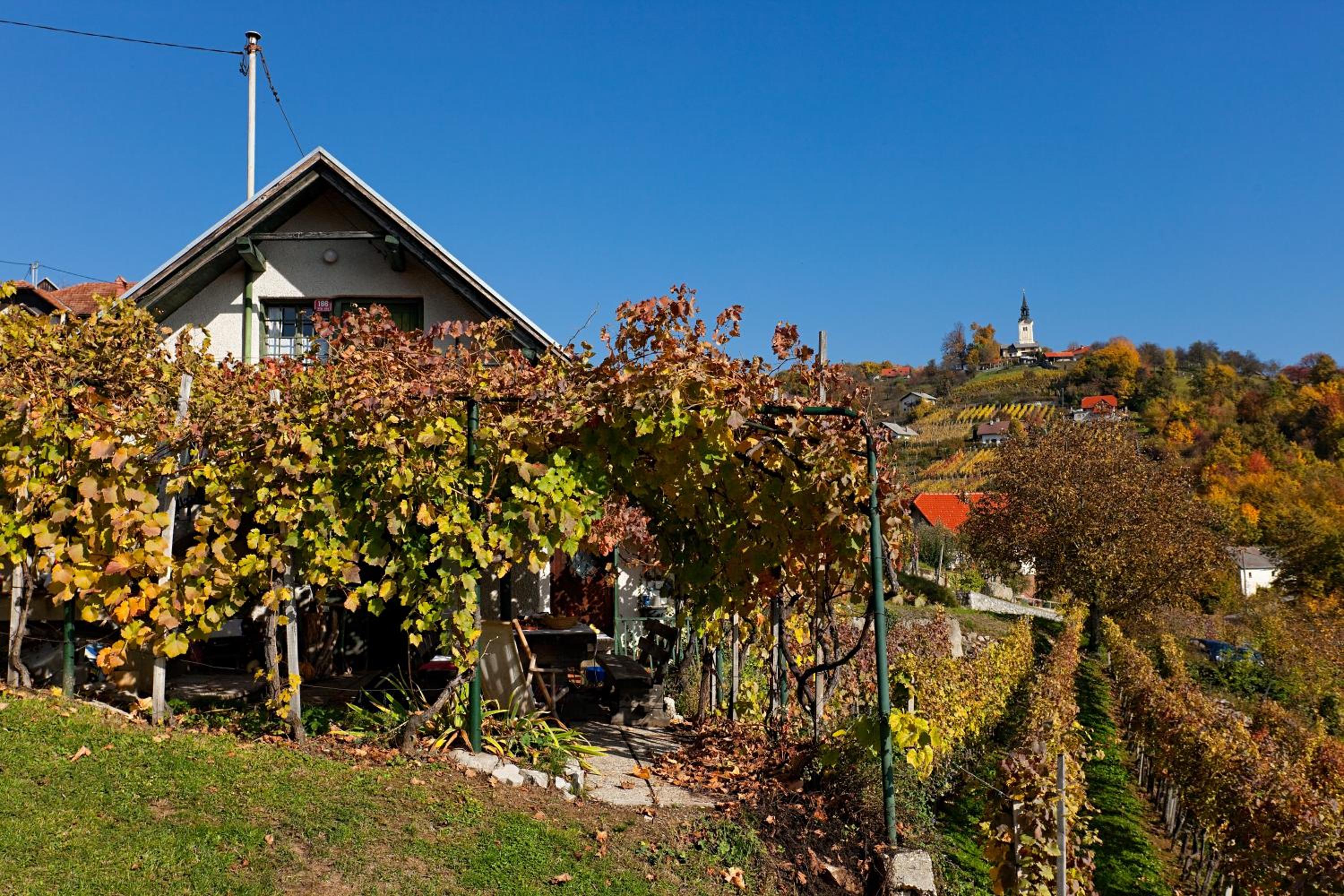 Vineyard Cottage Vercek view 2