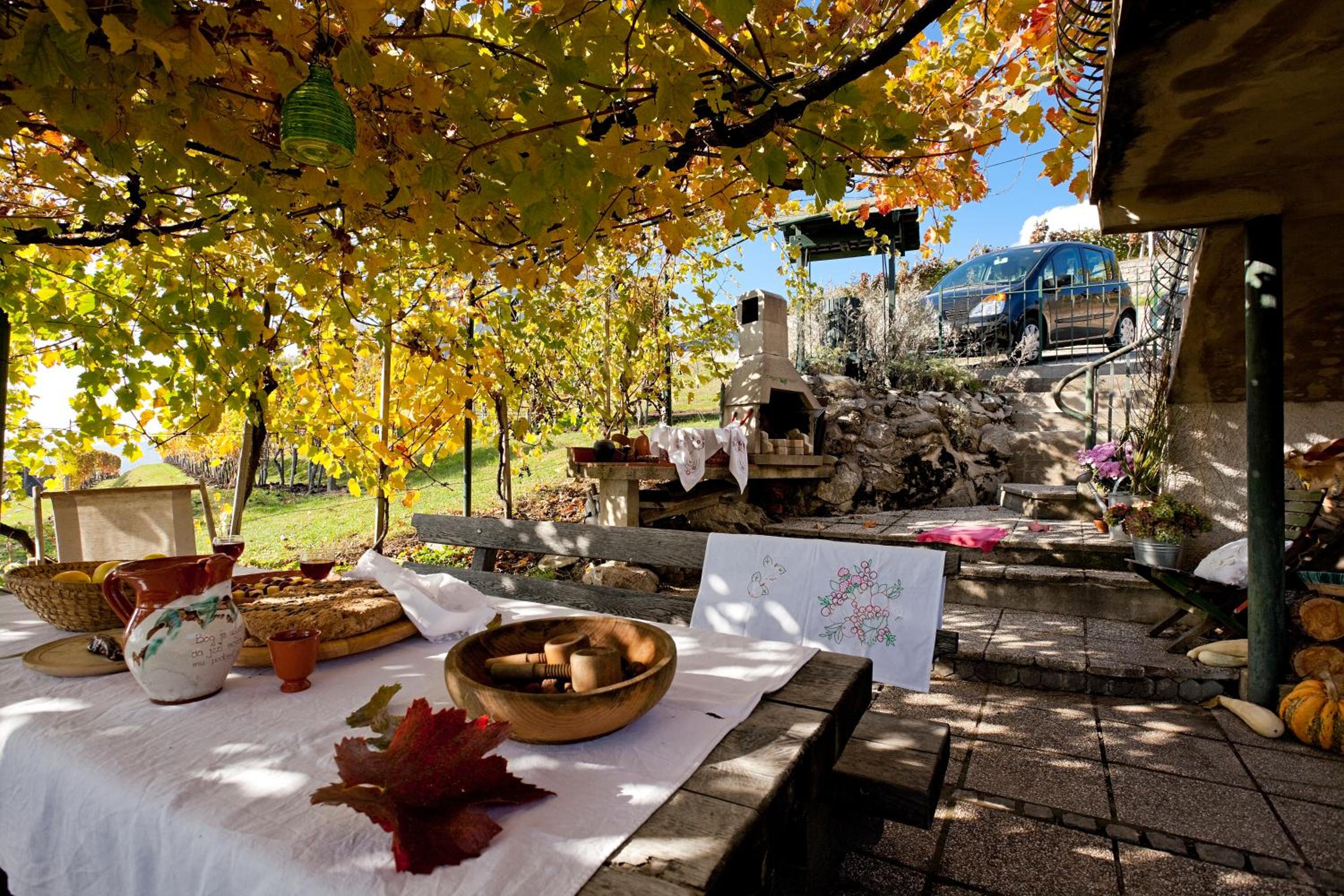 Vineyard Cottage Vercek view 4