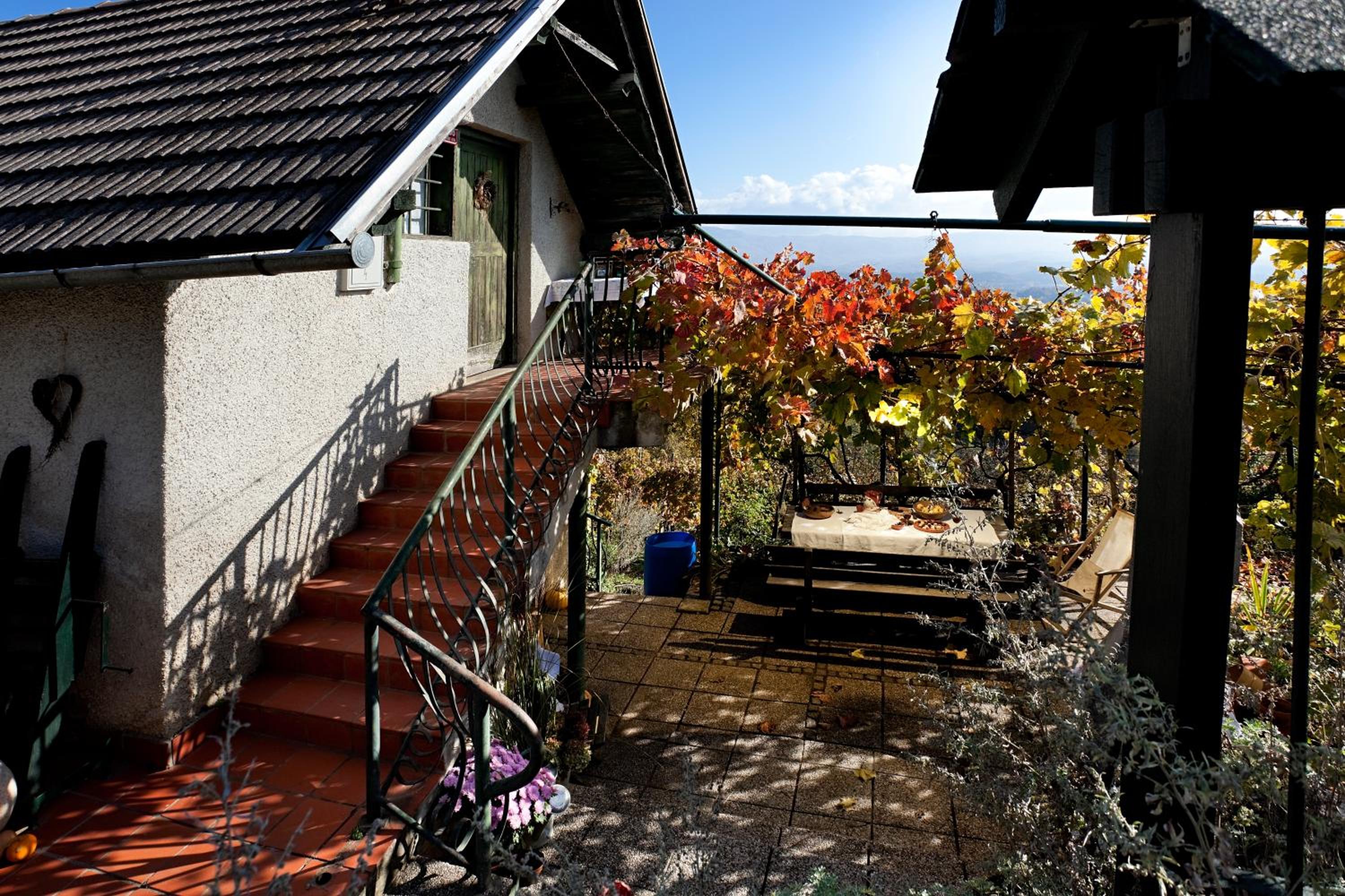 Vineyard Cottage Vercek view 5