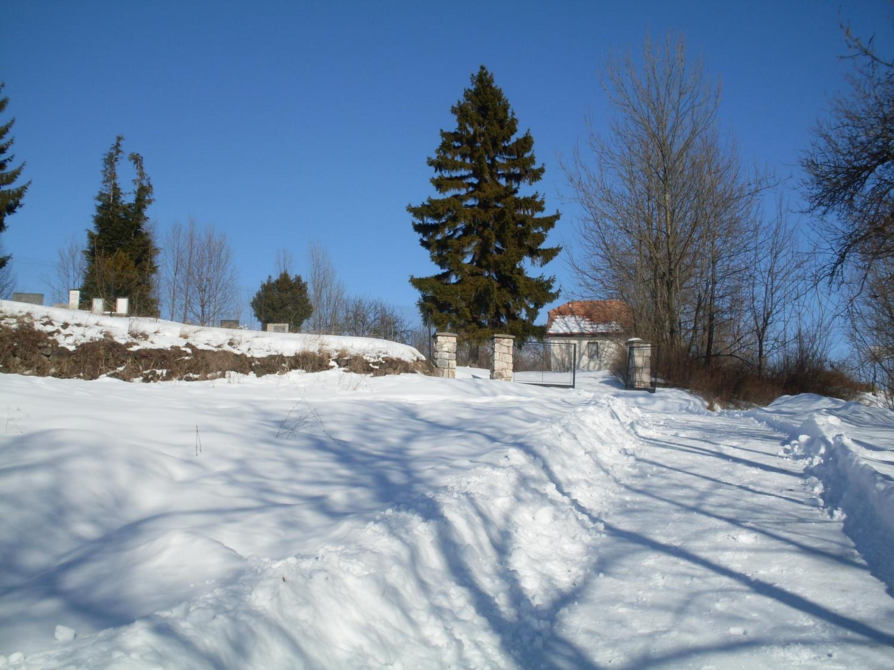 Photo 11