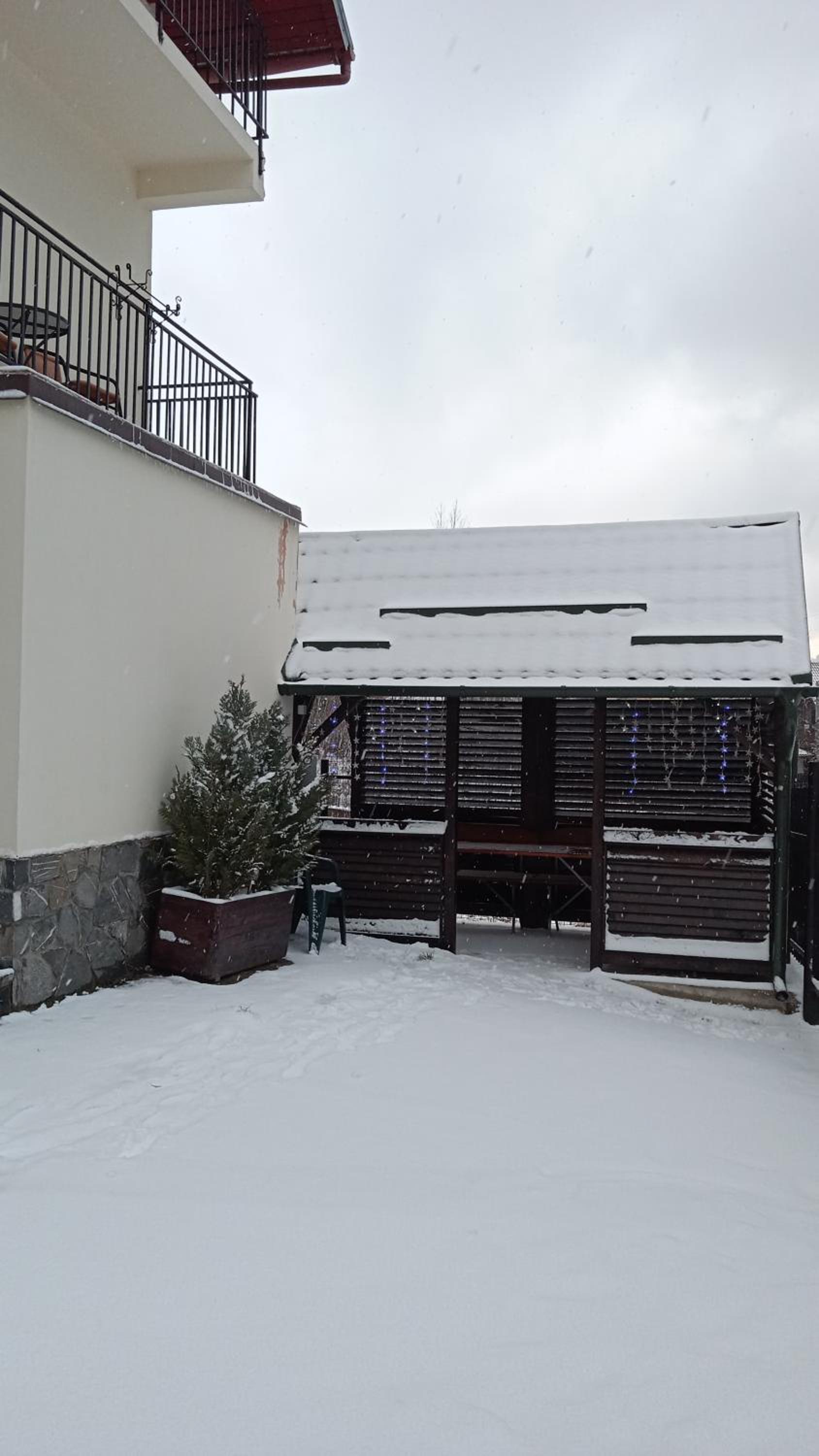 Photo 43