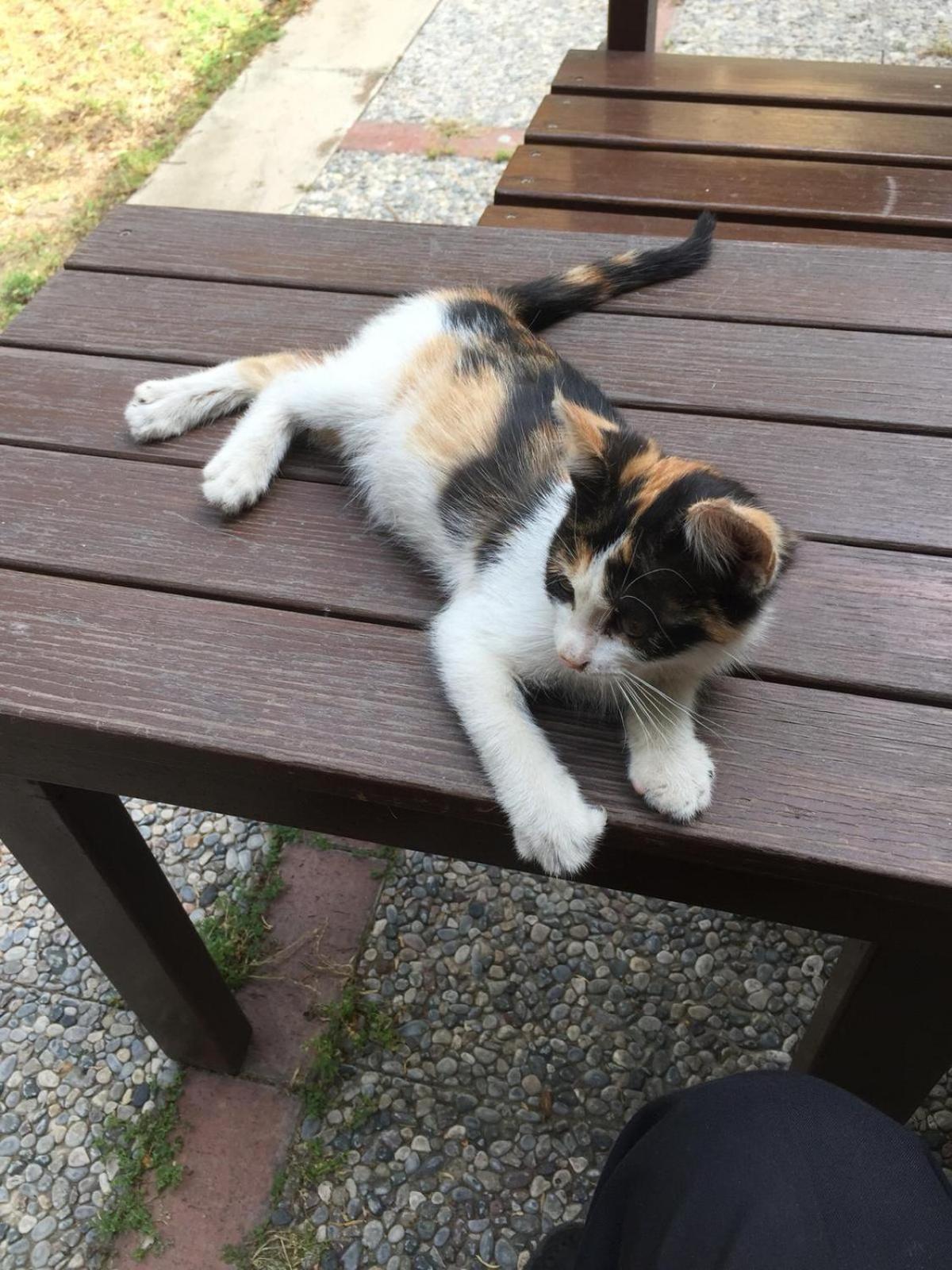 Hotel Baylan Basmane - Image 37